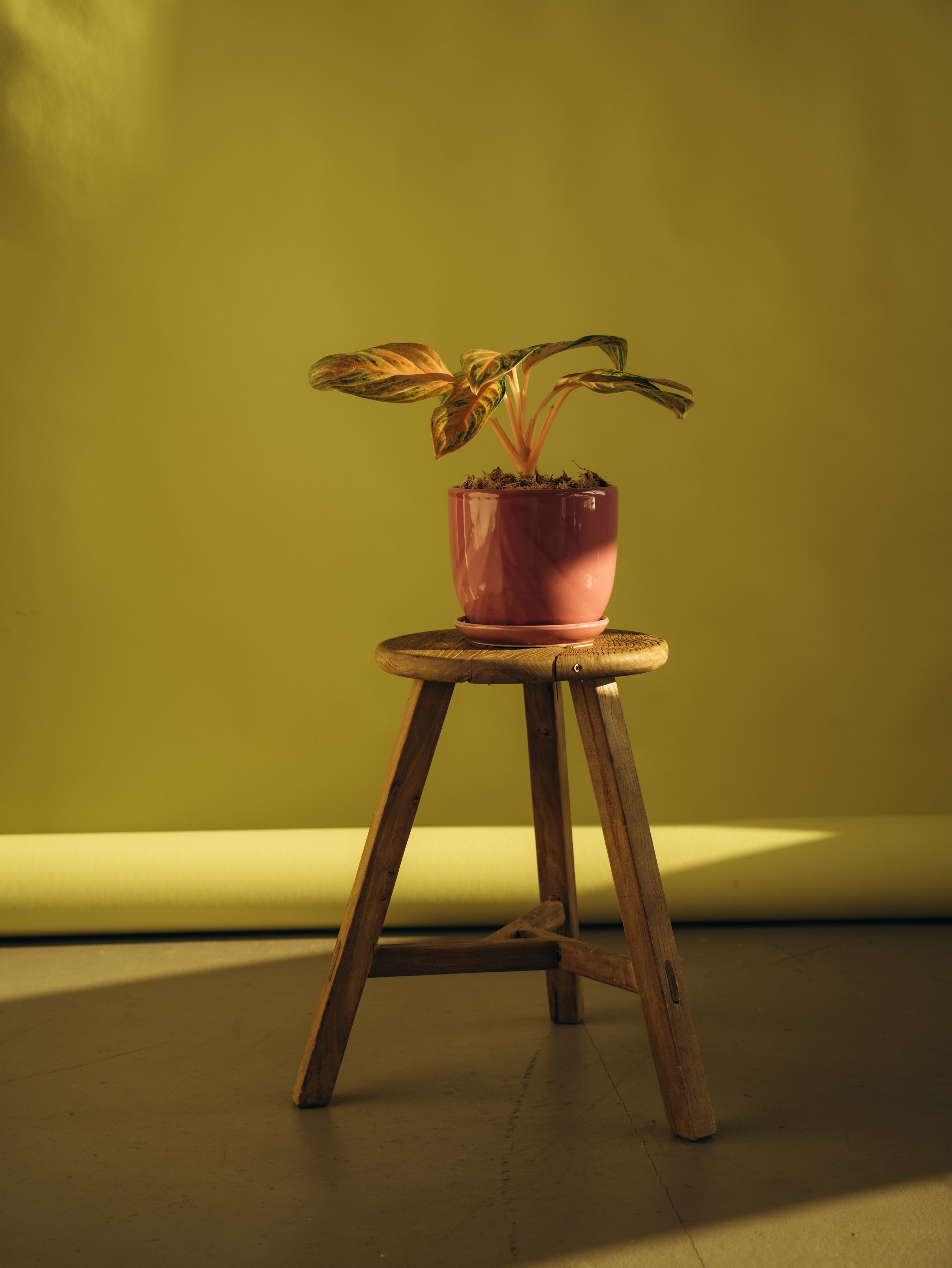 Контент. Фотограф на Камчатке Воронина Ульяна