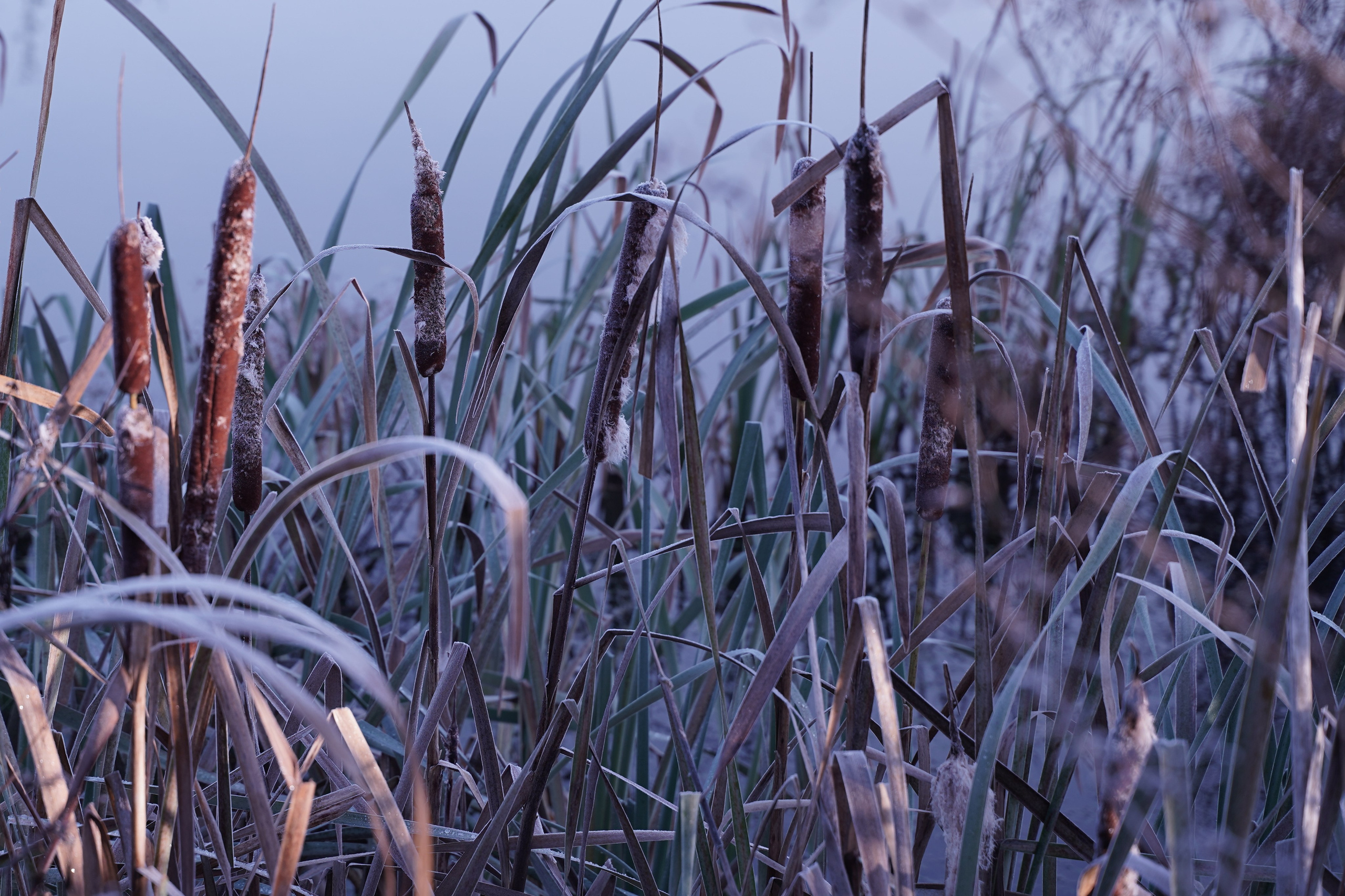 Бекстейдж съемки сериала. Krasnopoliophoto