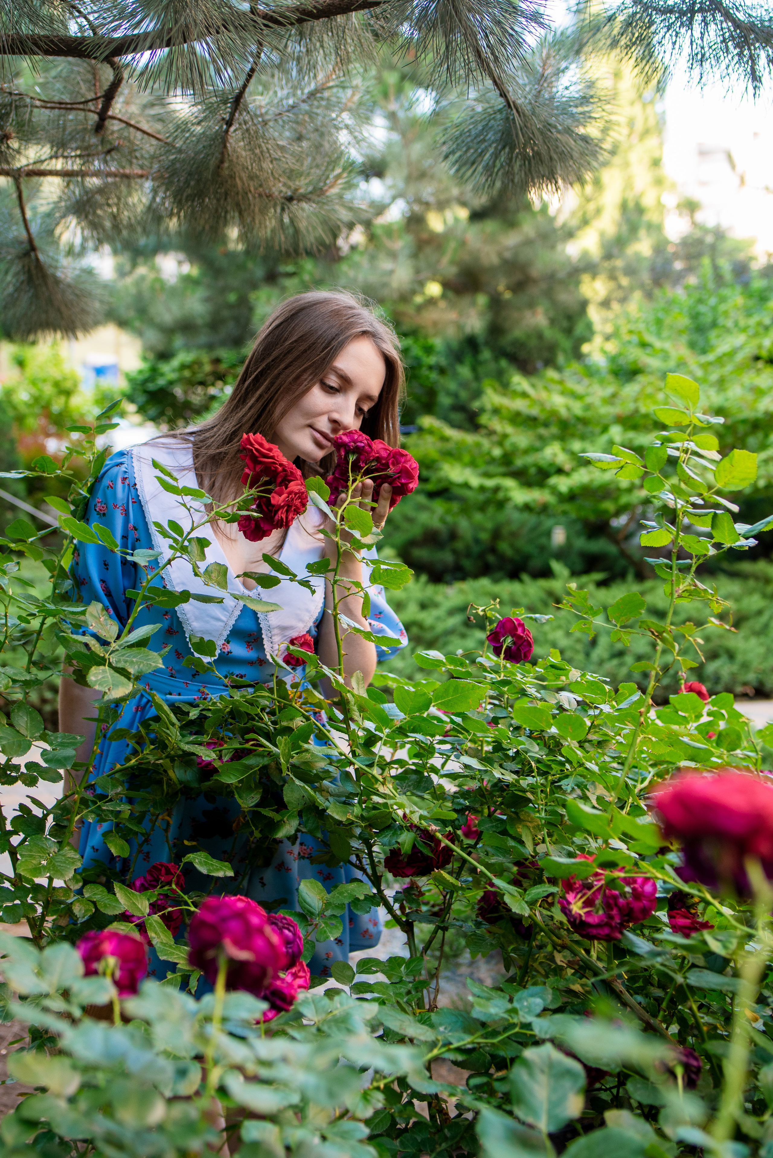 Фотосессия Софии. Фотограф