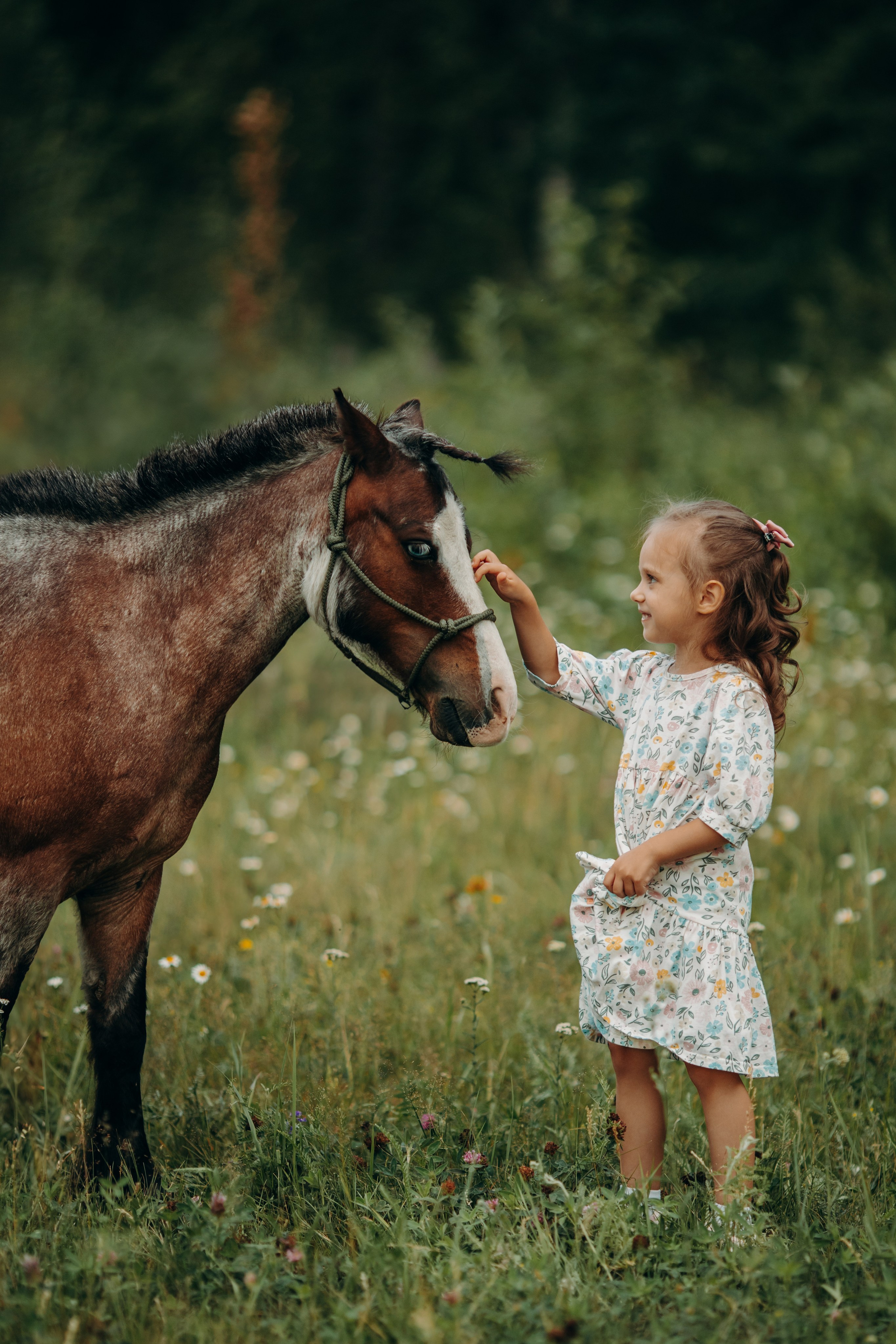 Малышка Вика. Анна Молчанова конный фотограф в Тюмени | фотосессии с лошадьми Тюмень