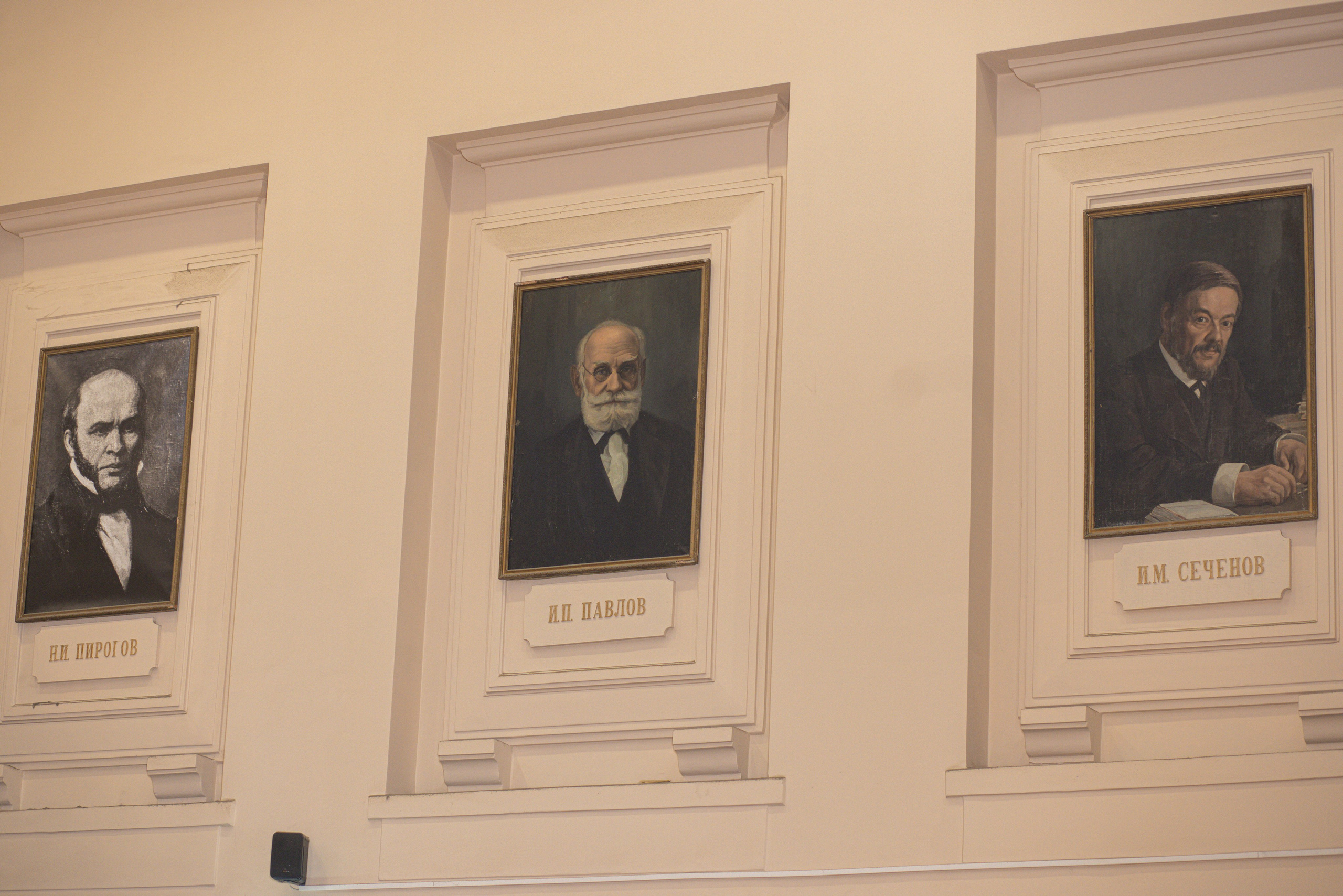 Встреча выпускников. Стоматологи СПб. Семейный фотограф в Вышнем Волочке — Ульяна Иванова | Фотосессии для всей семьи