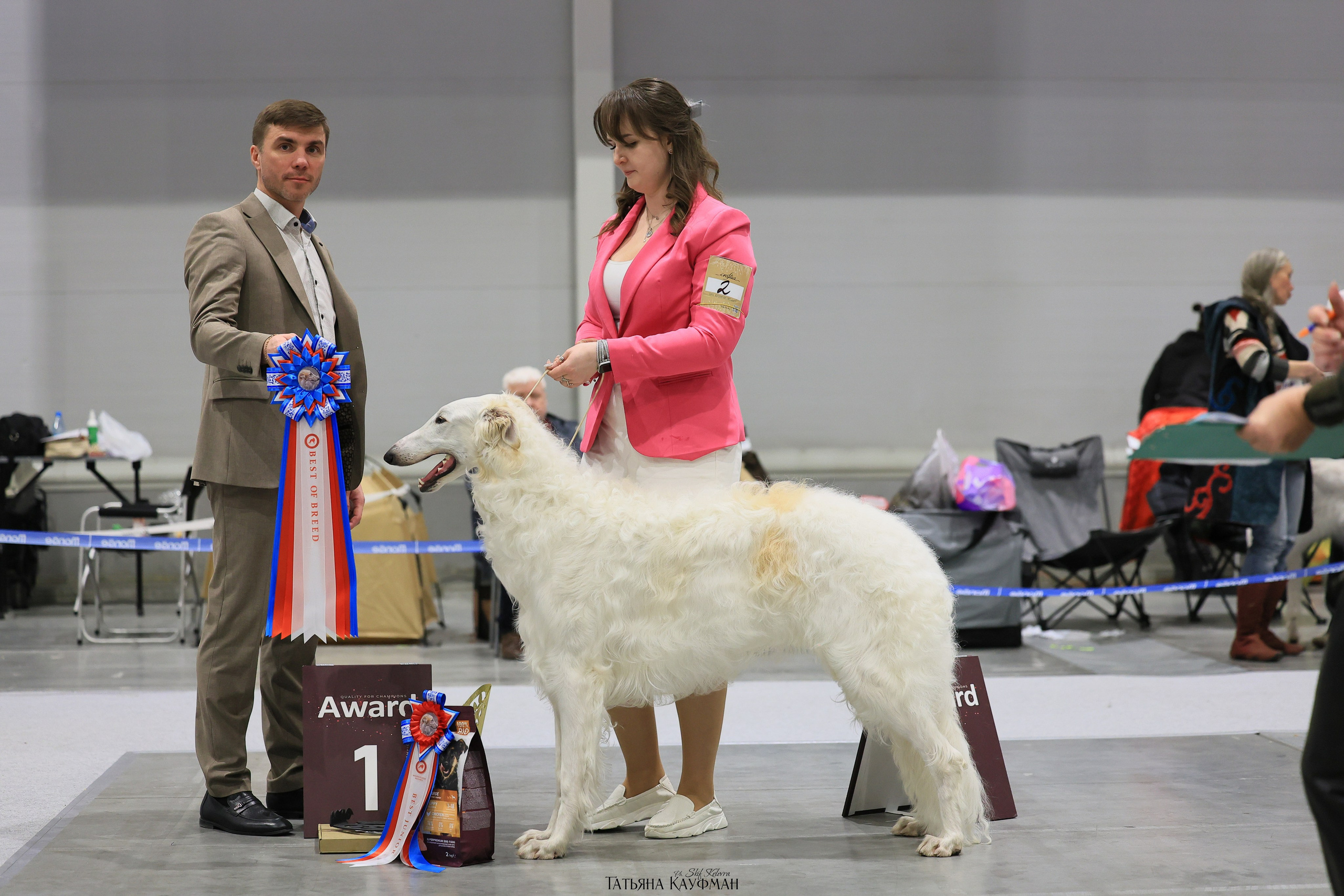 28-29.03.2026 Рейтинговая выставка в Новосибирске. Фотограф Анималист из Новосибирска Татьяна Кауфман