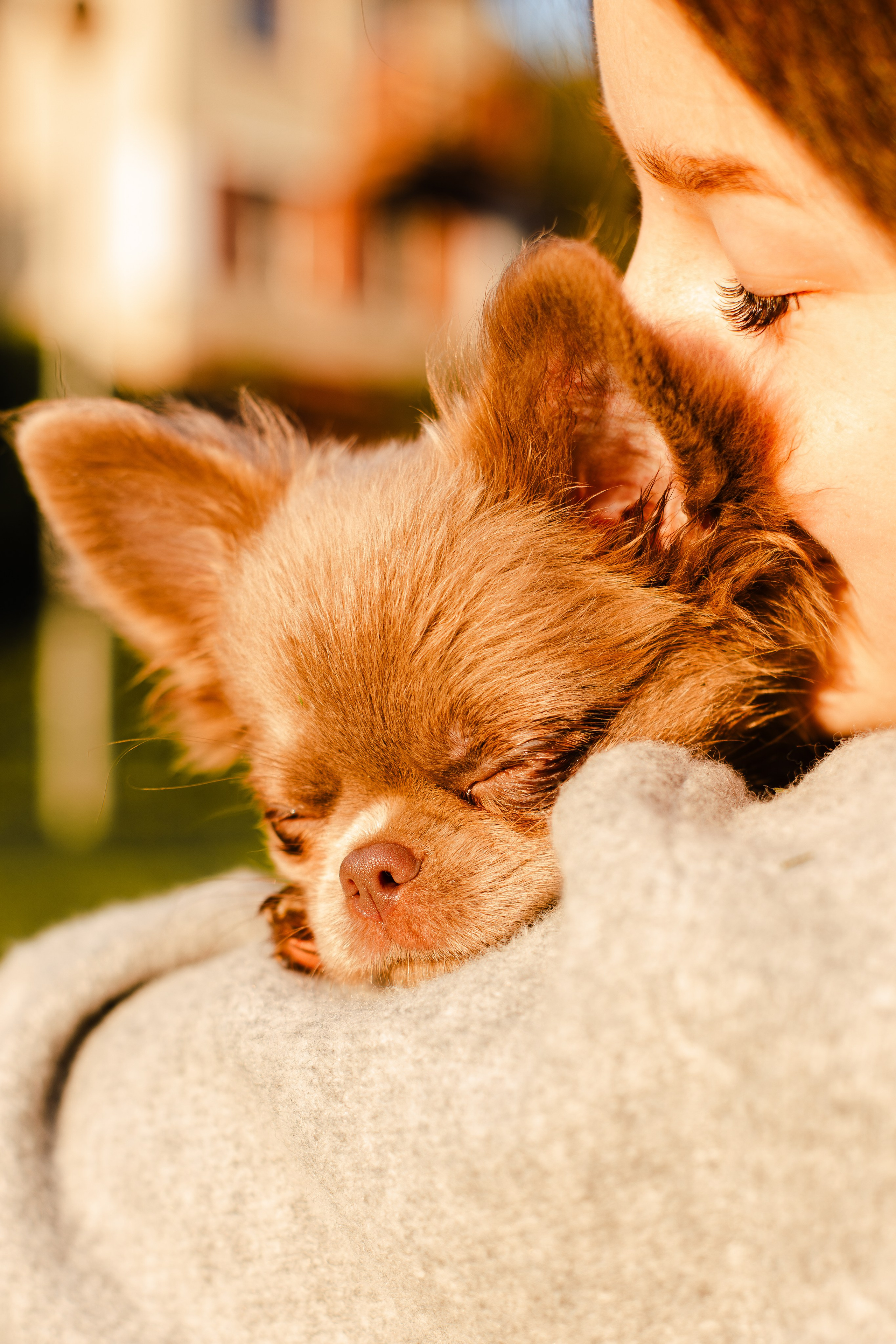 Варя и Фунтик. Фотограф-анималист Мария Баркевич | Москва