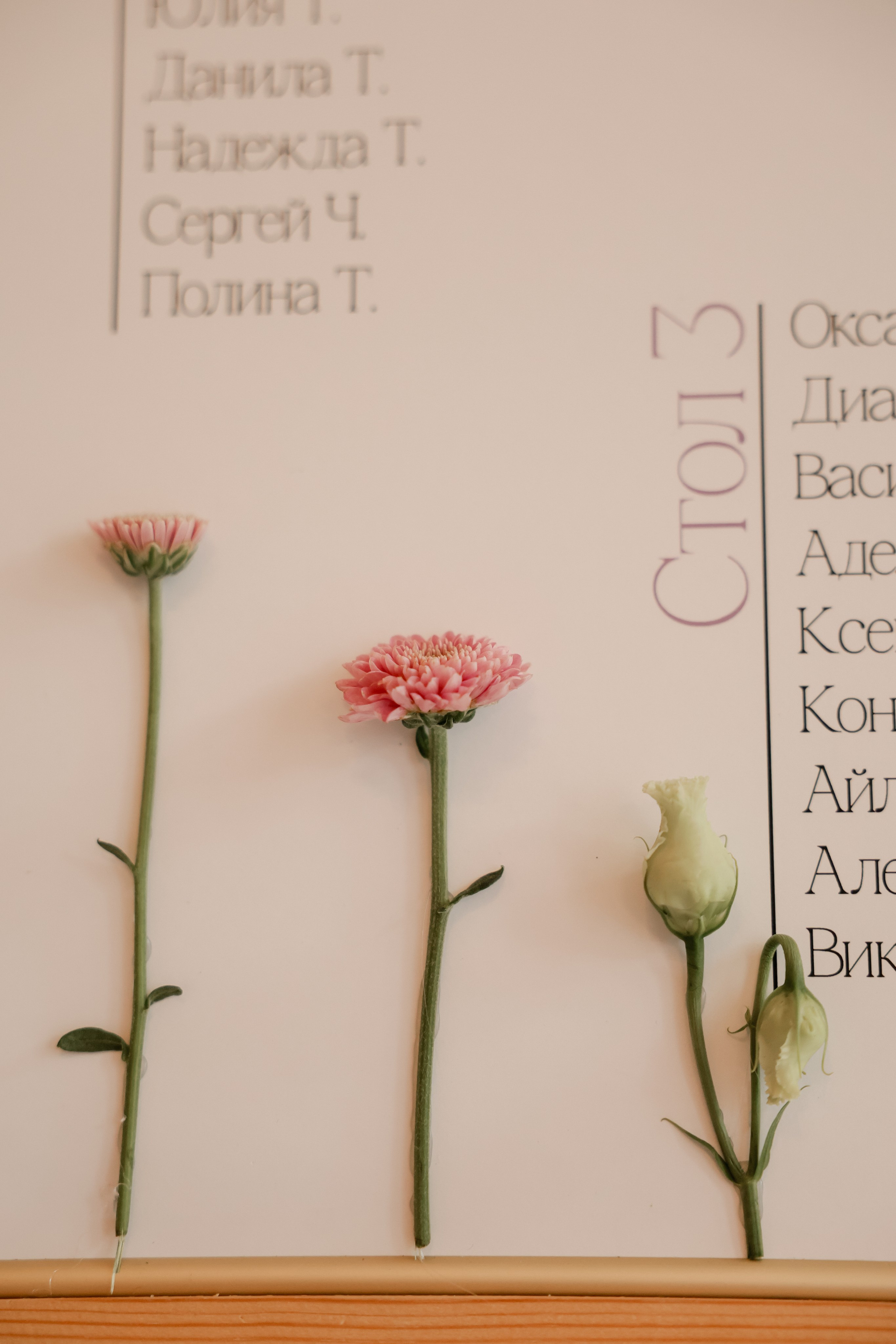 Pavel & Ekaterina. Kharchenkotatianaweddingphoto