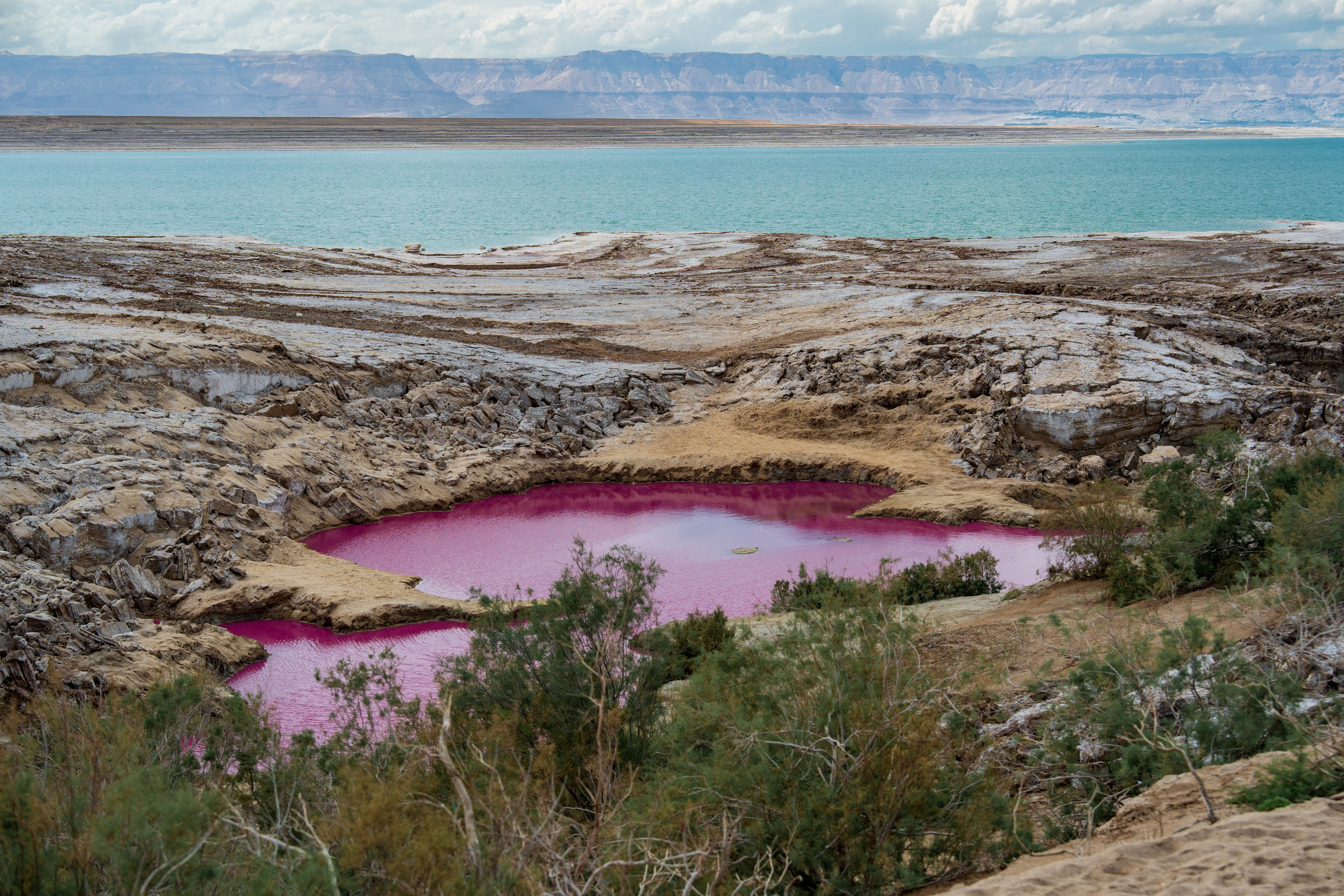 Репортажный фотограф в Красной Поляне и Сочи Павлюченко Екатерина