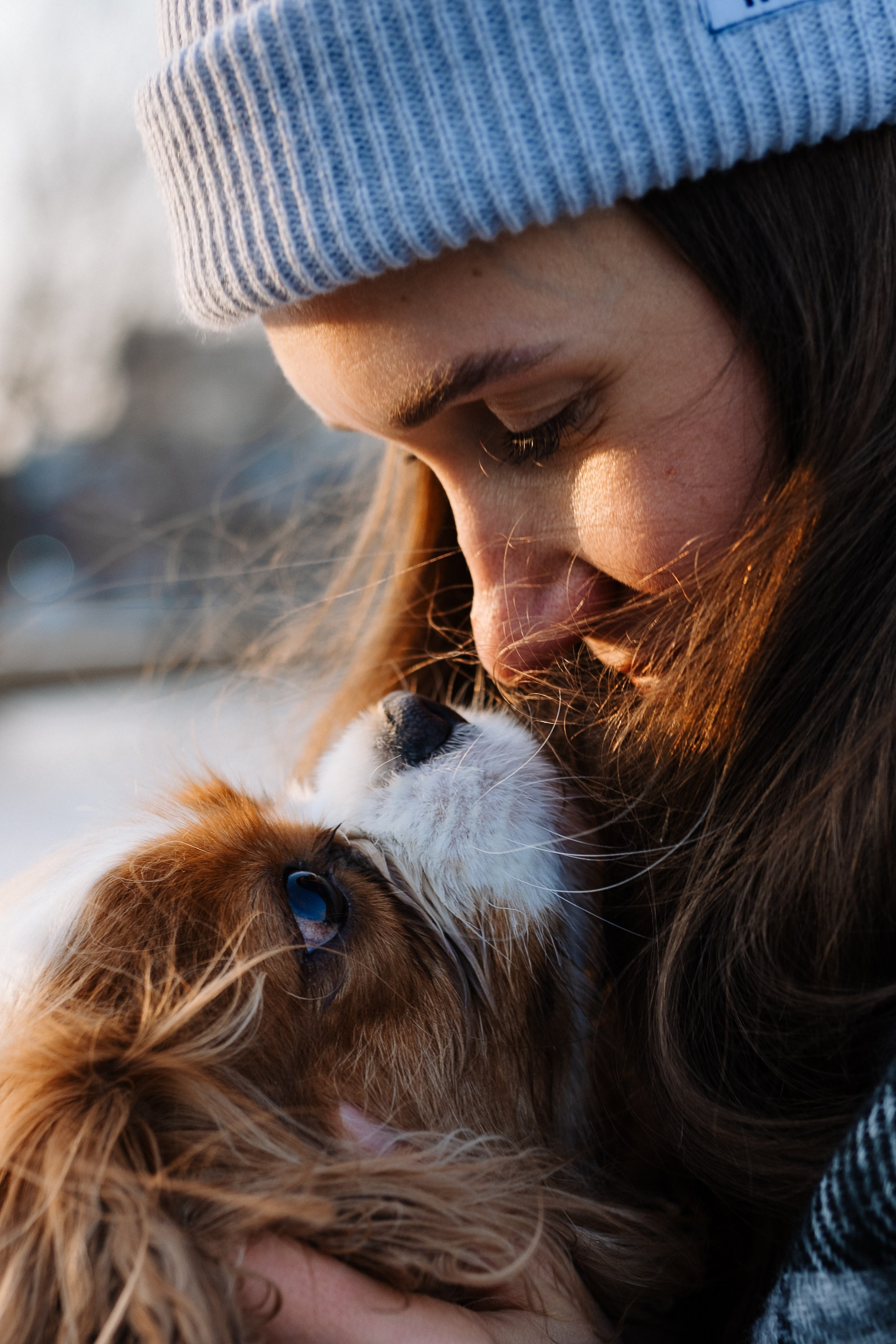 Лена и Арчи. Фотограф анималист в Москве Ольга Агушева