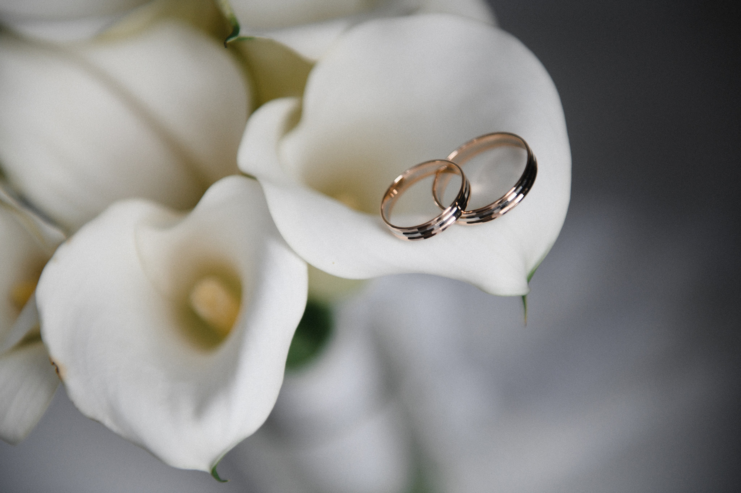 Алексей и Ольга. Фотограф Семён Пишта