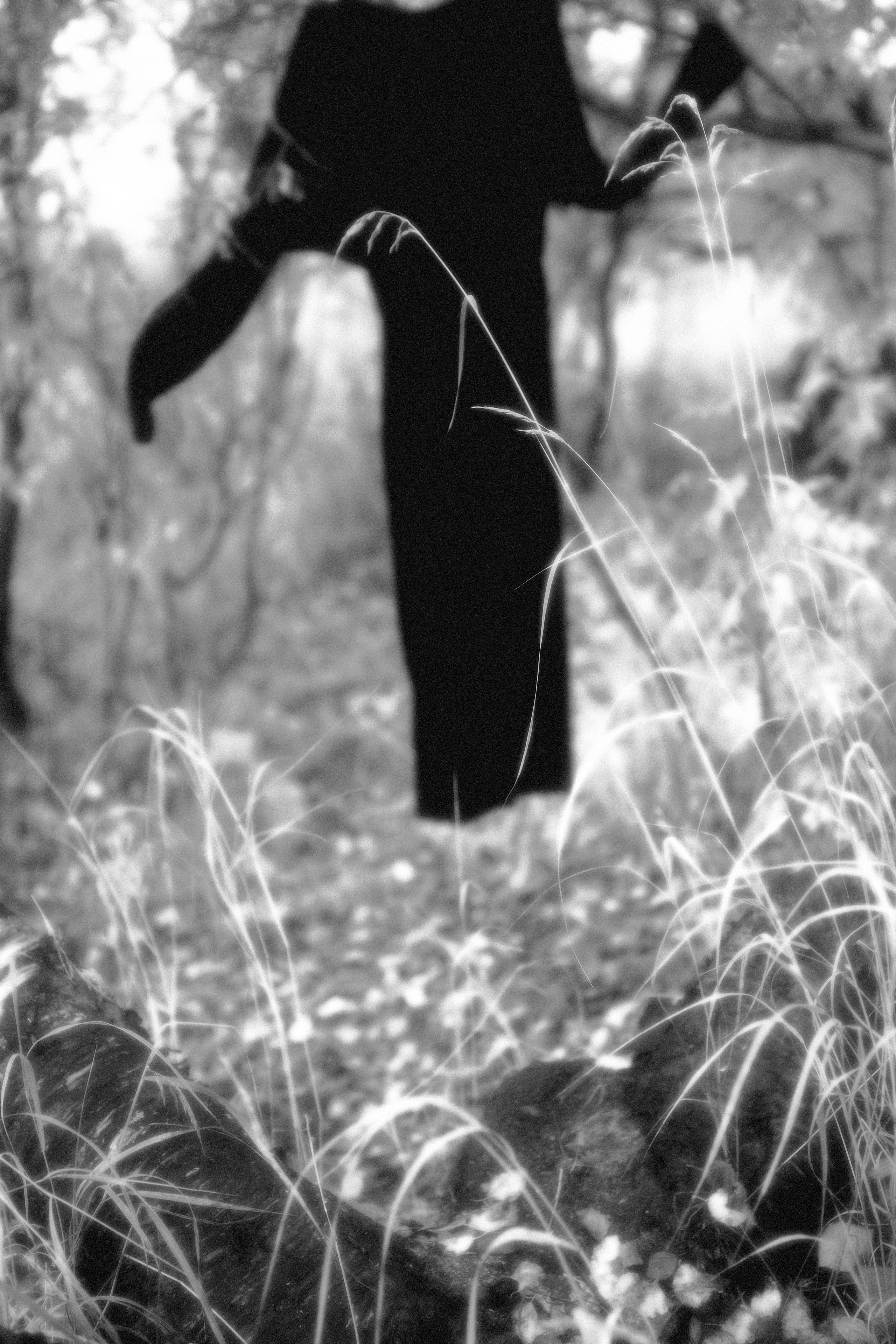 In the witchy woods. Fashion Photographer Oxana Chernomorets