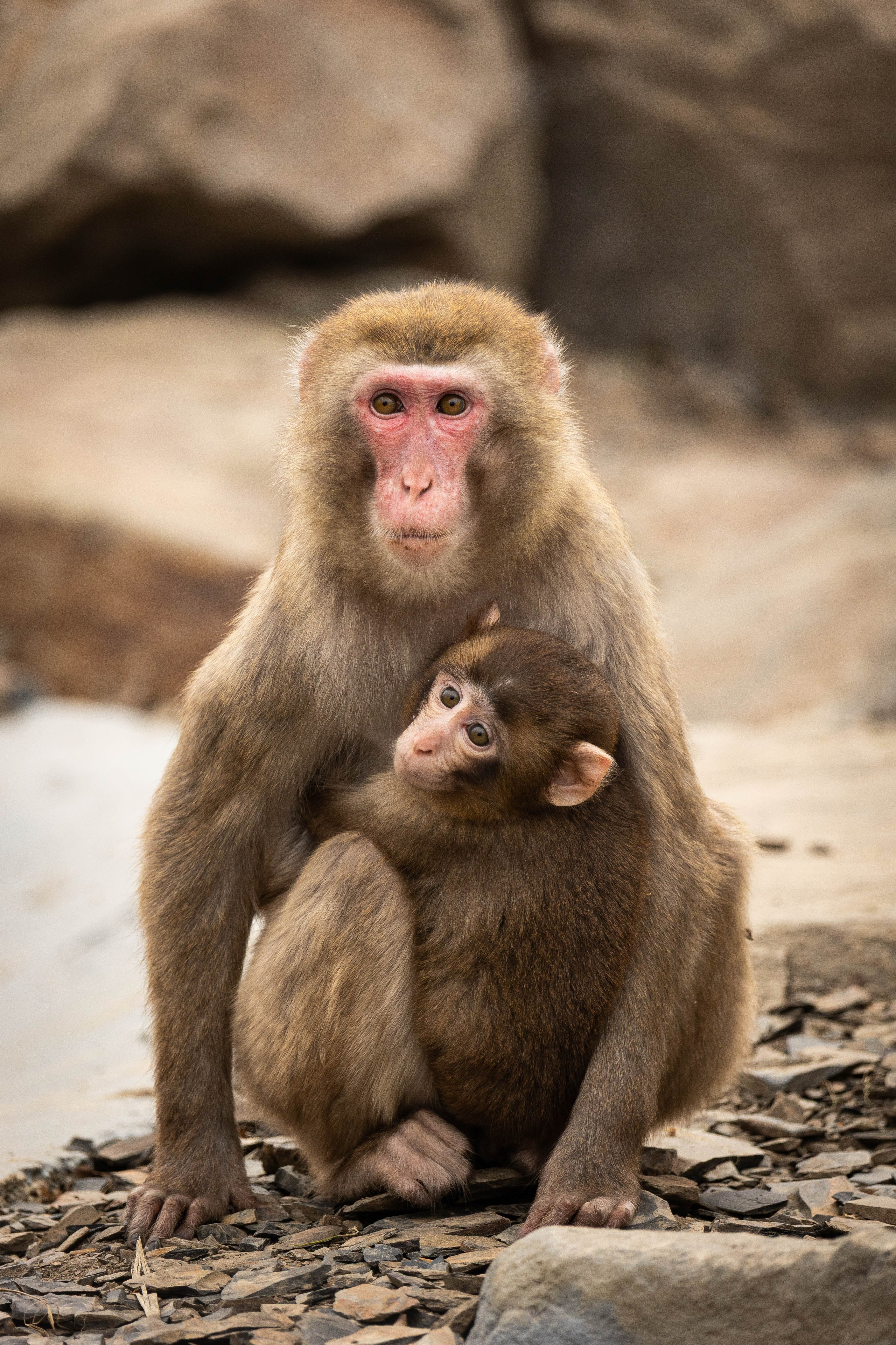 Парк Малинки 2026. Фотограф-АниМалист Анна Абрамова