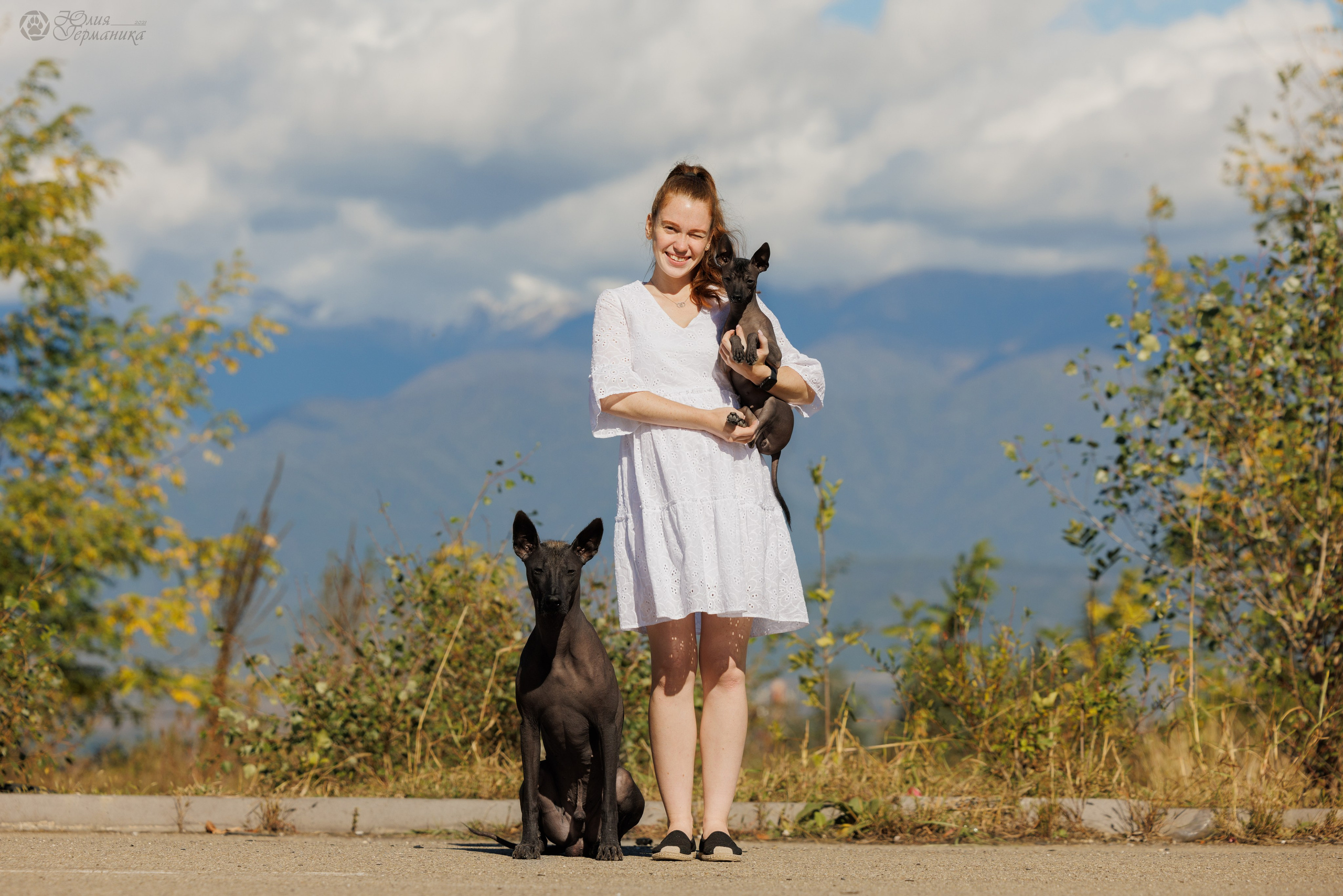 Грузия,Телави 2хCACIB 19-20.10.2024. Фотограф-анималист Юлия Германика