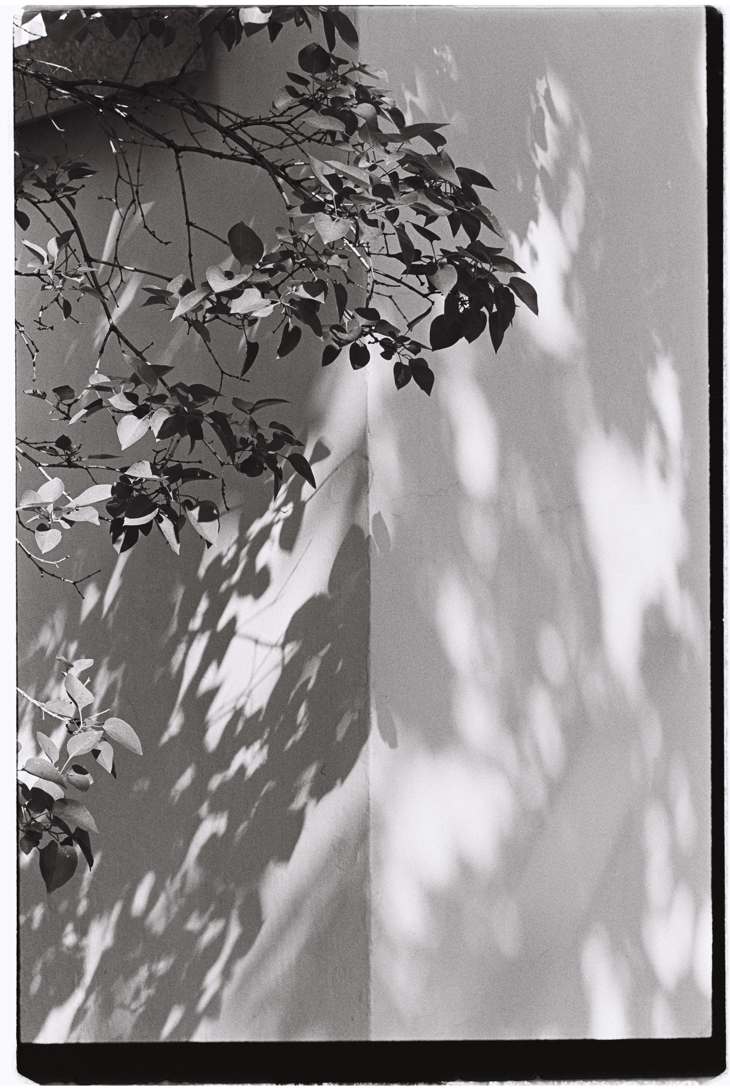 Almaty. Philipp Yelistratov