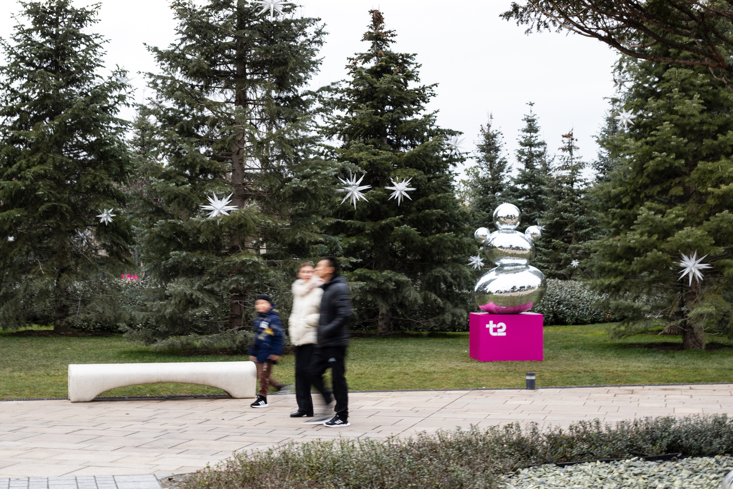 Т2. Фотограф Алиса Лисицына