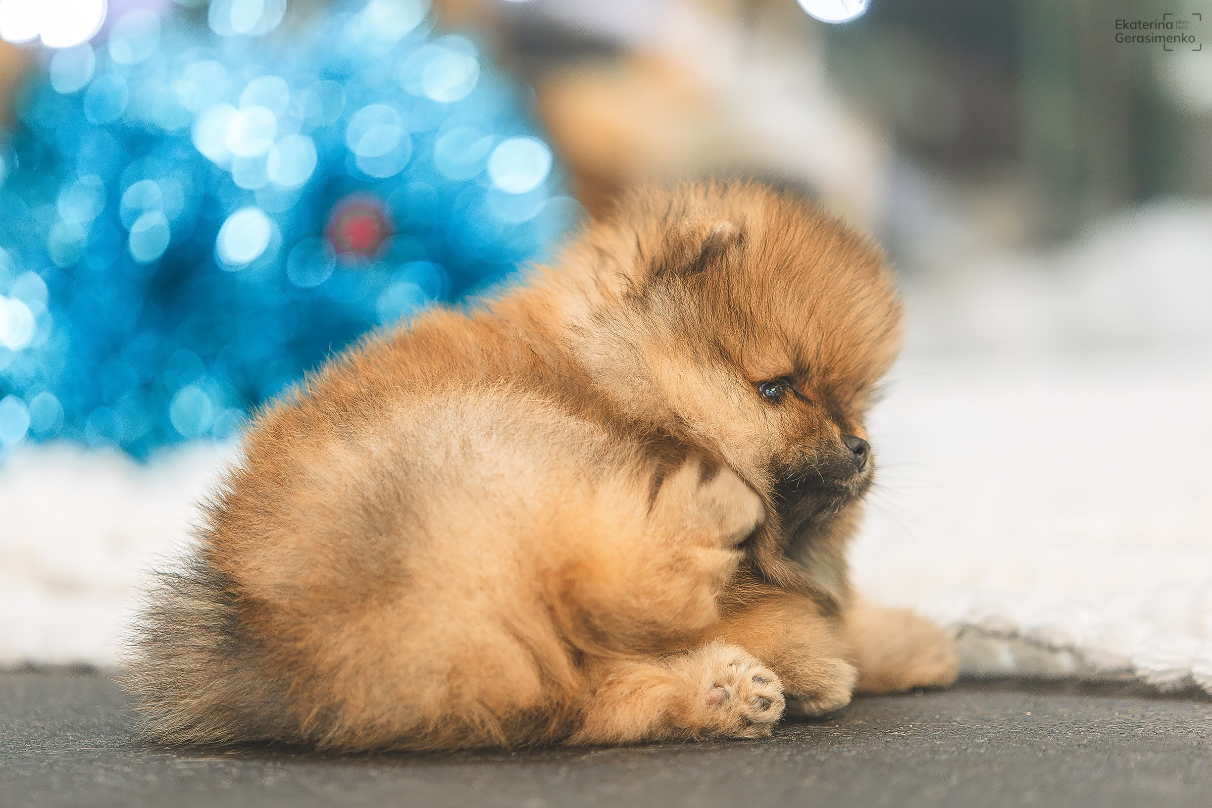 Фотодень. Htykk_photo