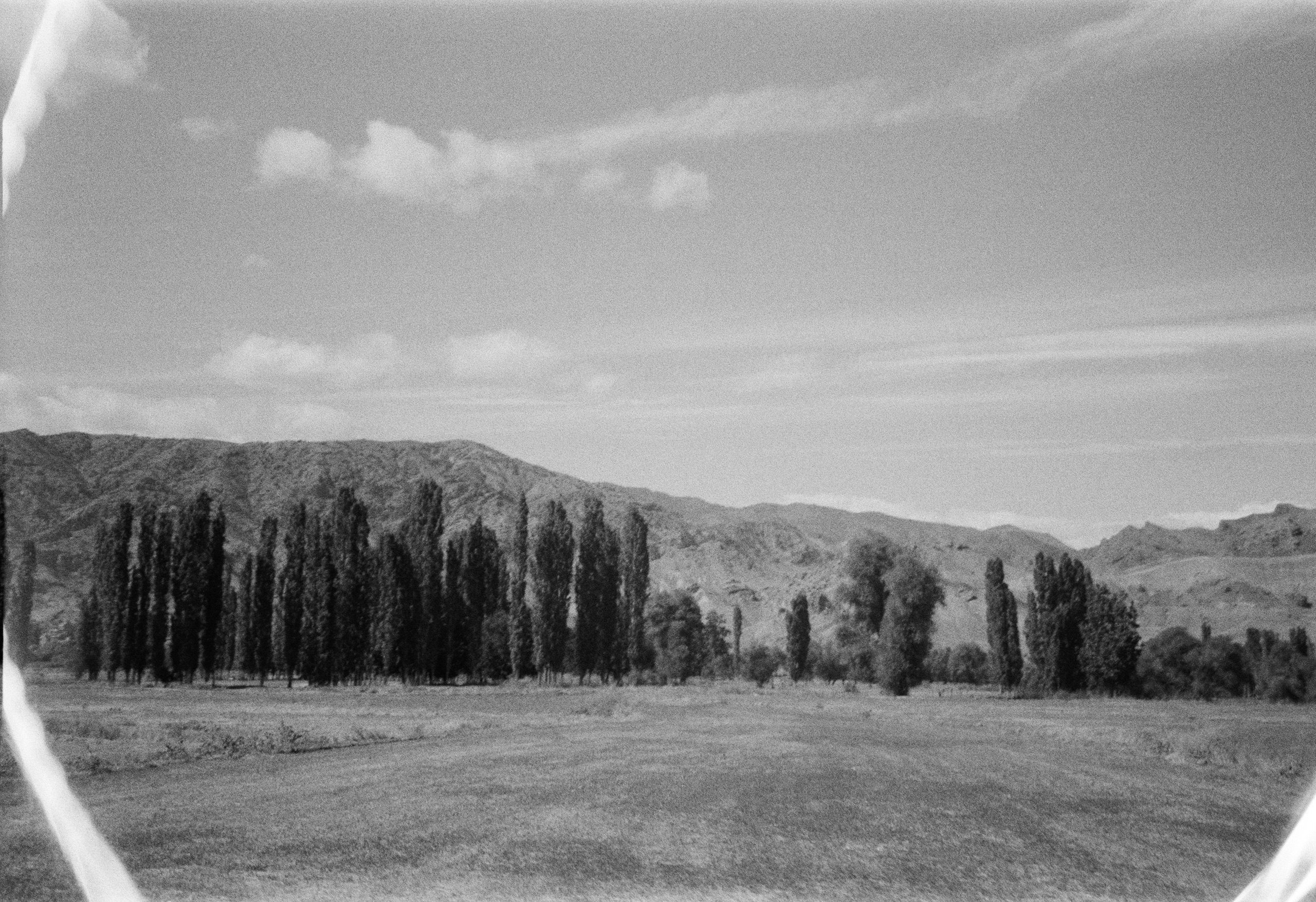 Пленка. Главная