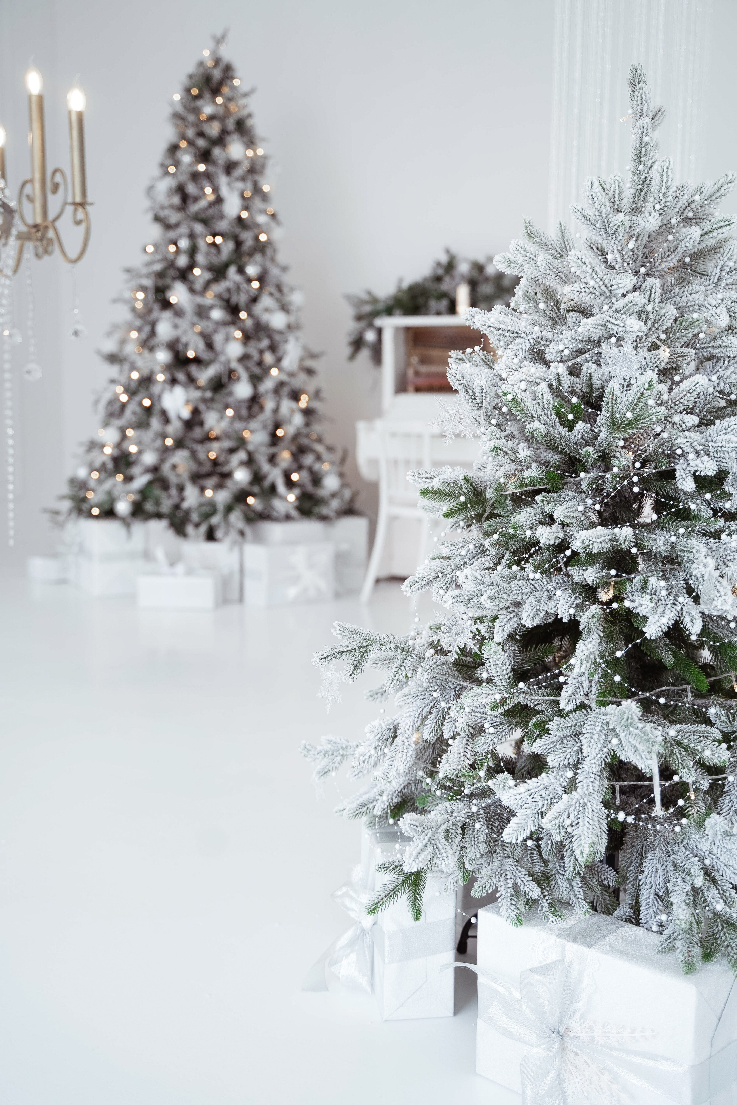 Зал Ренессанс. Фотограф г. Хабаровск. Семейные и индивидуальные съёмки