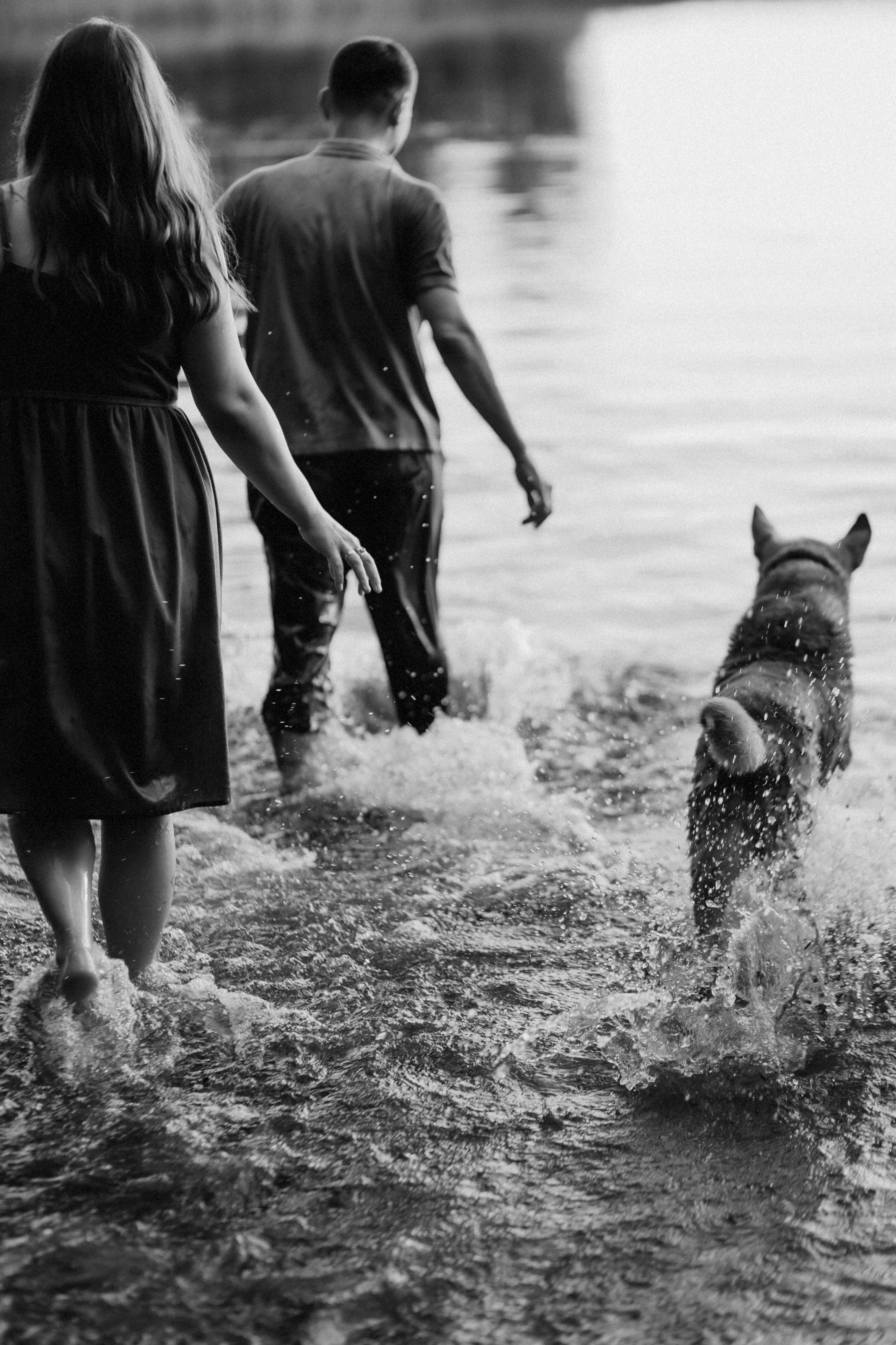 На странных берегах