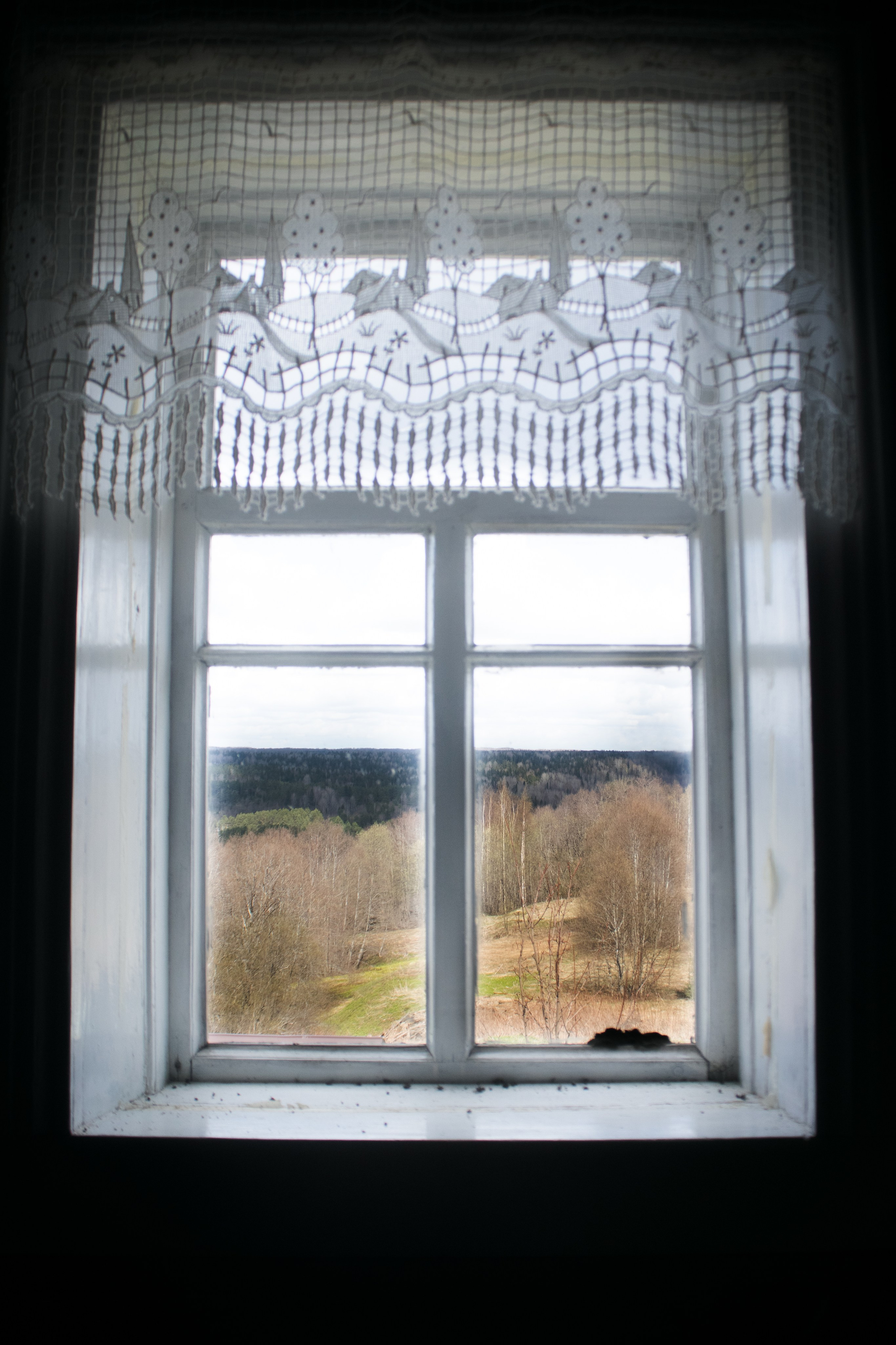 Вепсский ковчег. Полина Щапова БМК235 Медиаком — НИУ ВШЭ