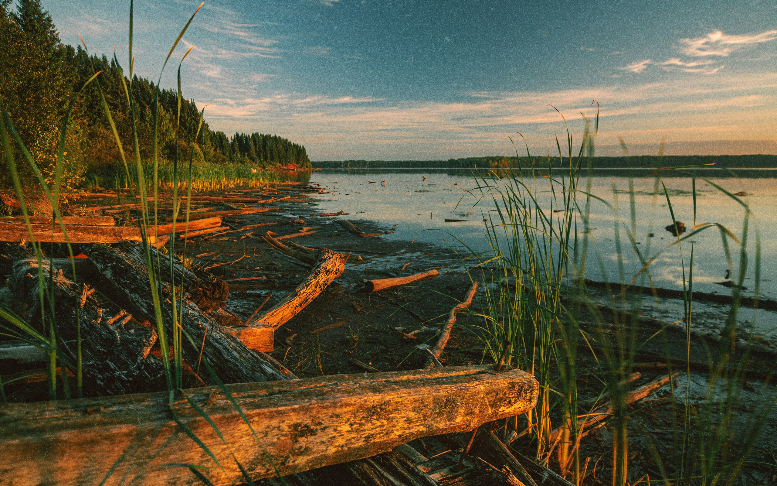 N a t u r e. Your photographer