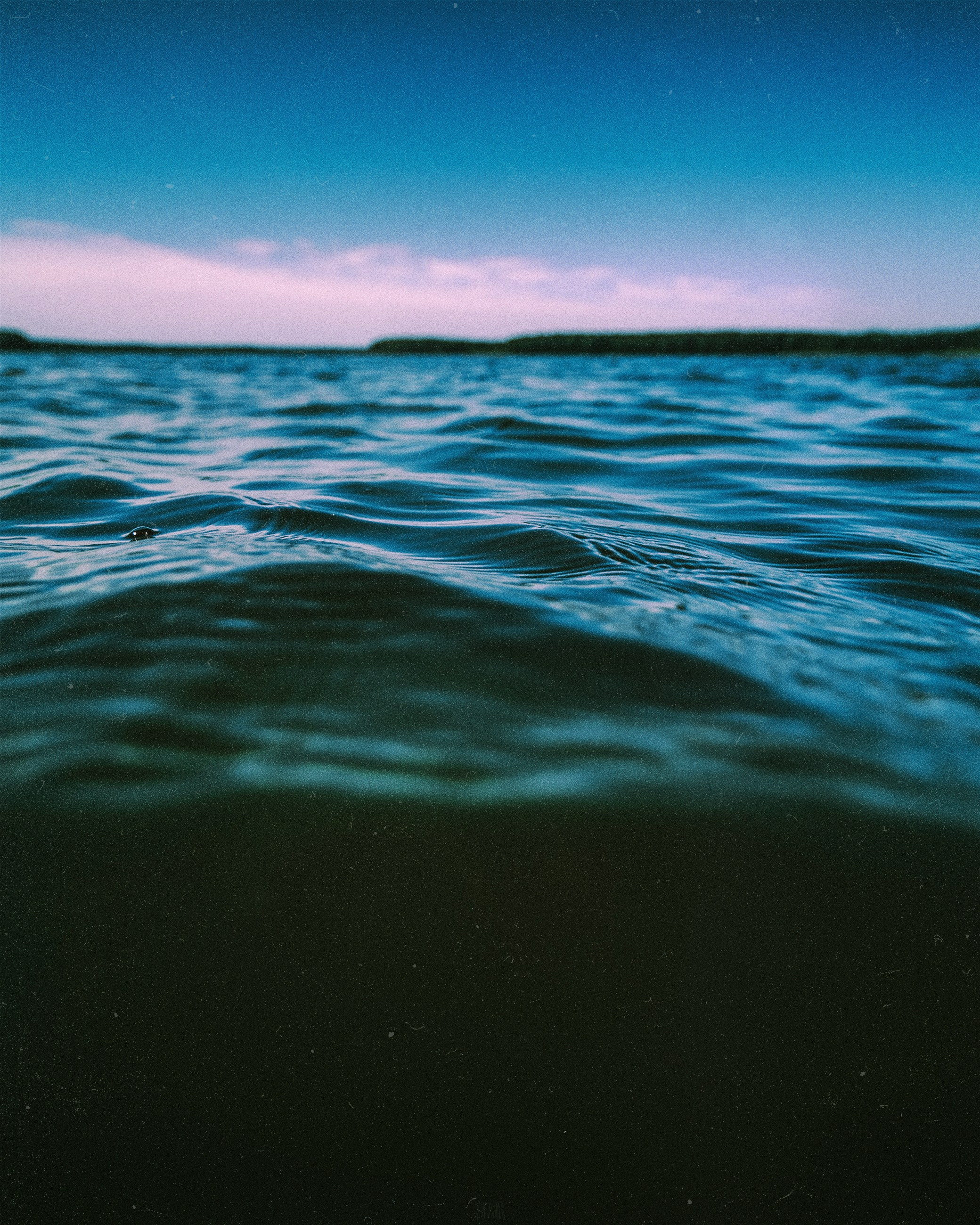 N a t u r e. Your photographer