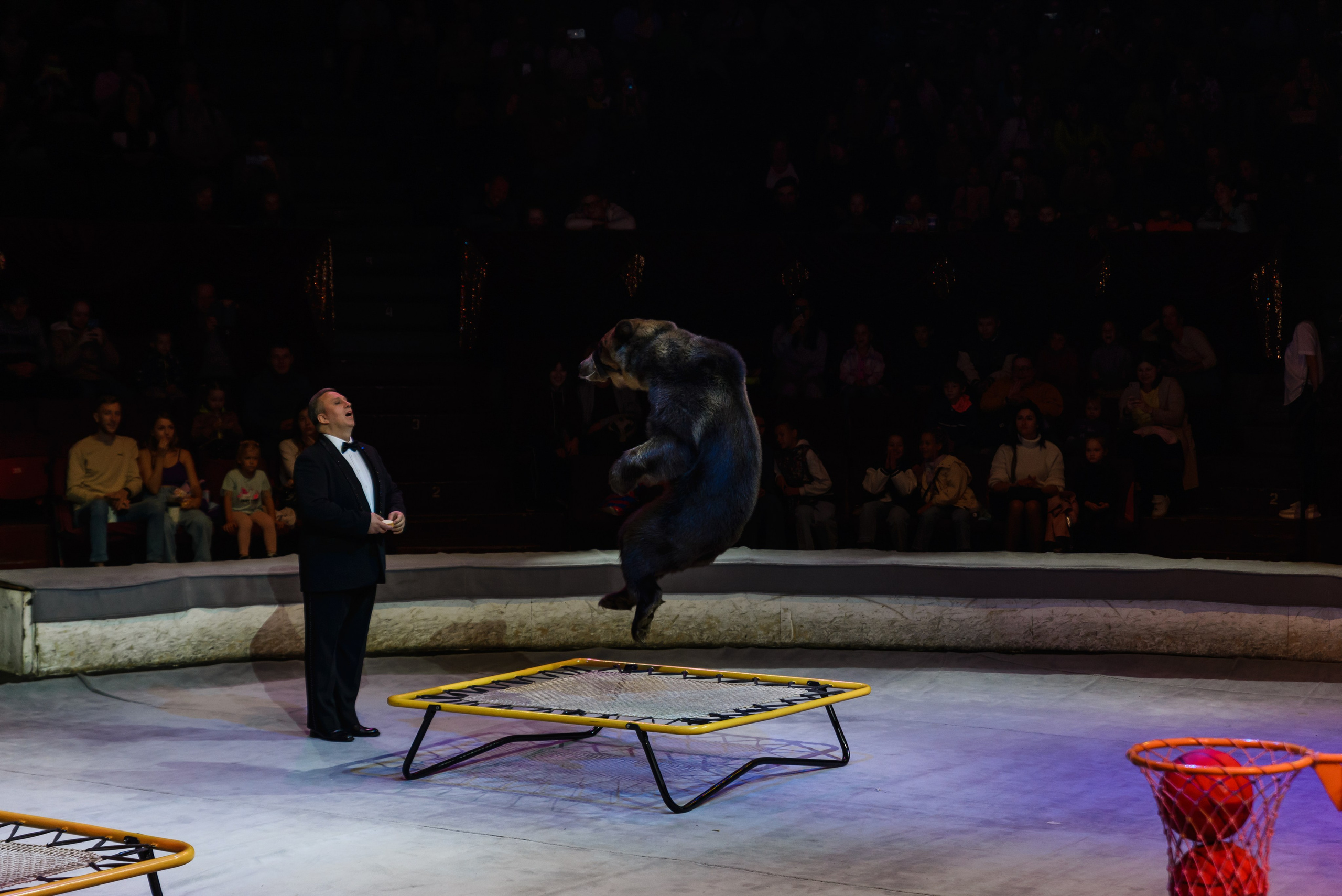 Пермский государственный цирк. Фотограф в Ханты-Мансийске Евгений Жуланов