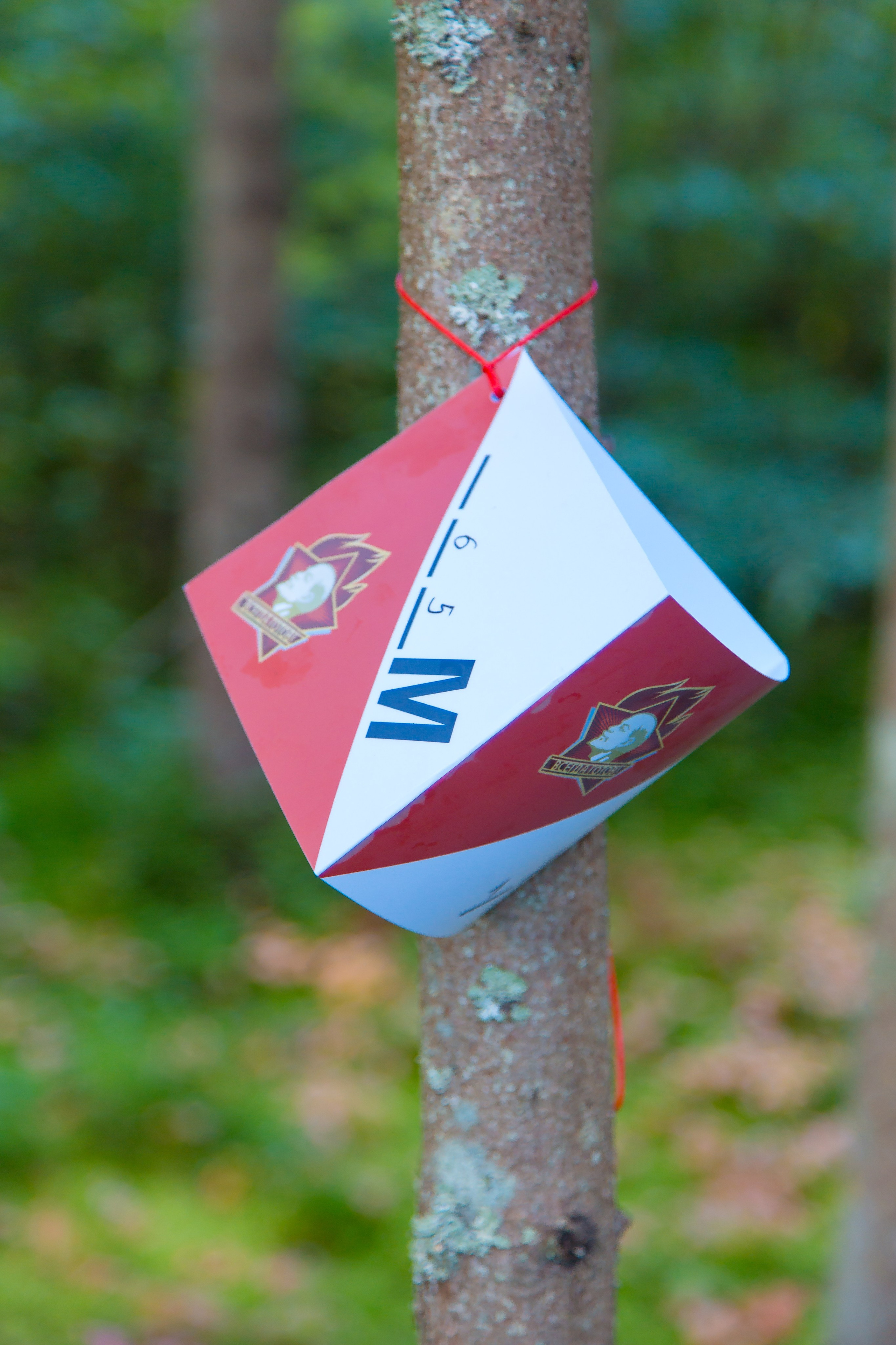 КОРПОРАТИВ РАПСОДИЯ. Главная