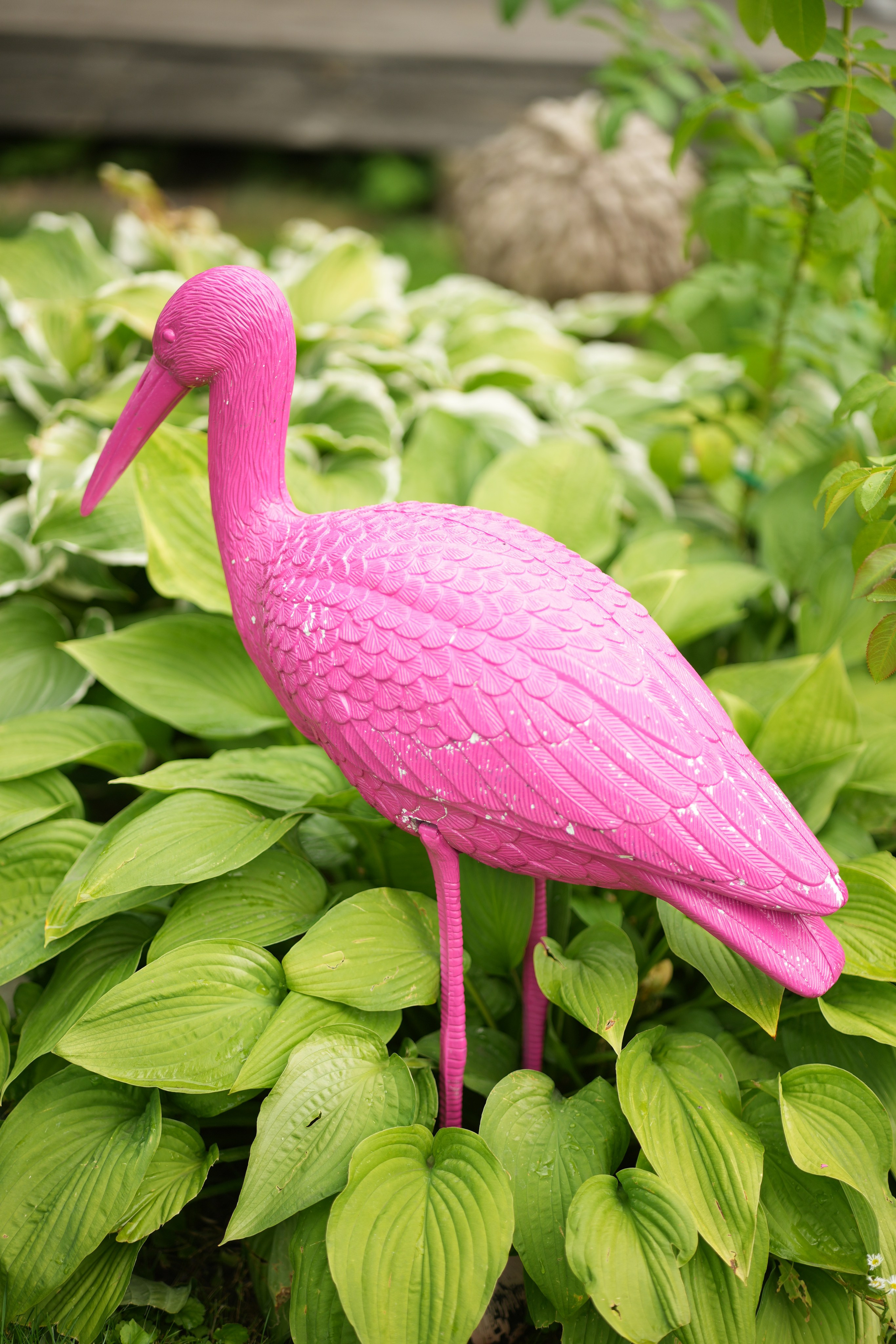 Час 1500 пример фотосессии пакет «ФОТО НА ПАМЯТЬ» (без обработки). Фотограф Нижний Новгород Татьяна Кэйод