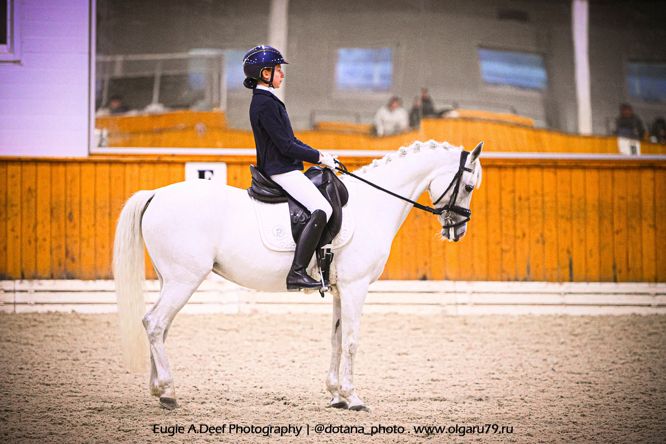 2025.10.19 — КСК Конкорд — выездка. ТУРНИРНАЯ КОННАЯ ФОТОГРАФИЯ, Руднева Ольга и Евгений Адеев