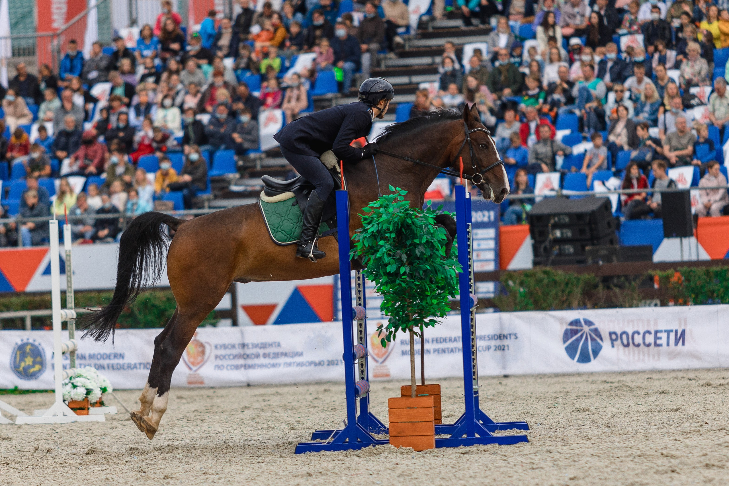 Кубок Президента. Спортивный и репортажный фотограф Андрей Баскаков