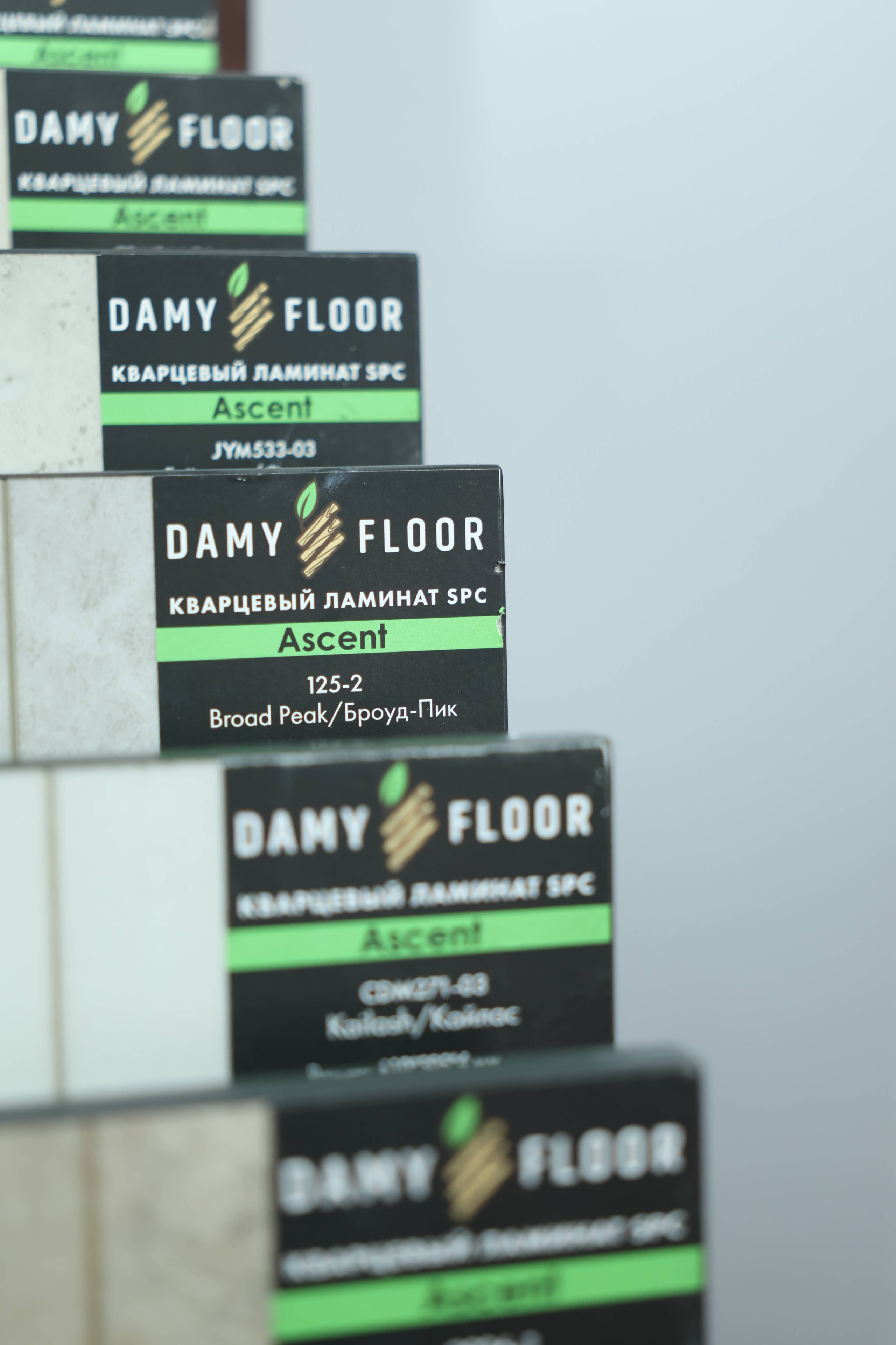 Damy Floor