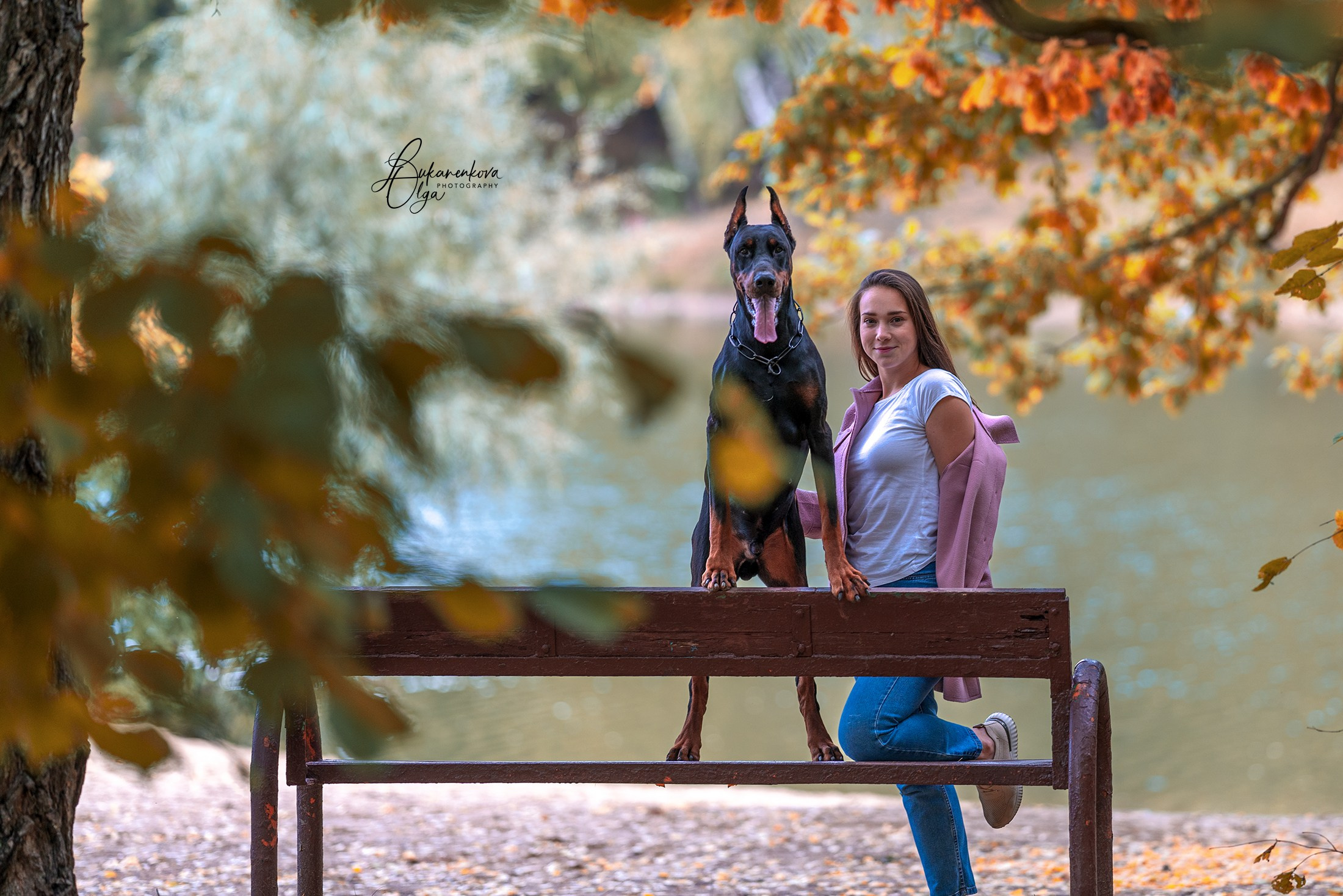 Осенняя рапсодия. Фотограф анималист Ольга Луканенкова в Москве