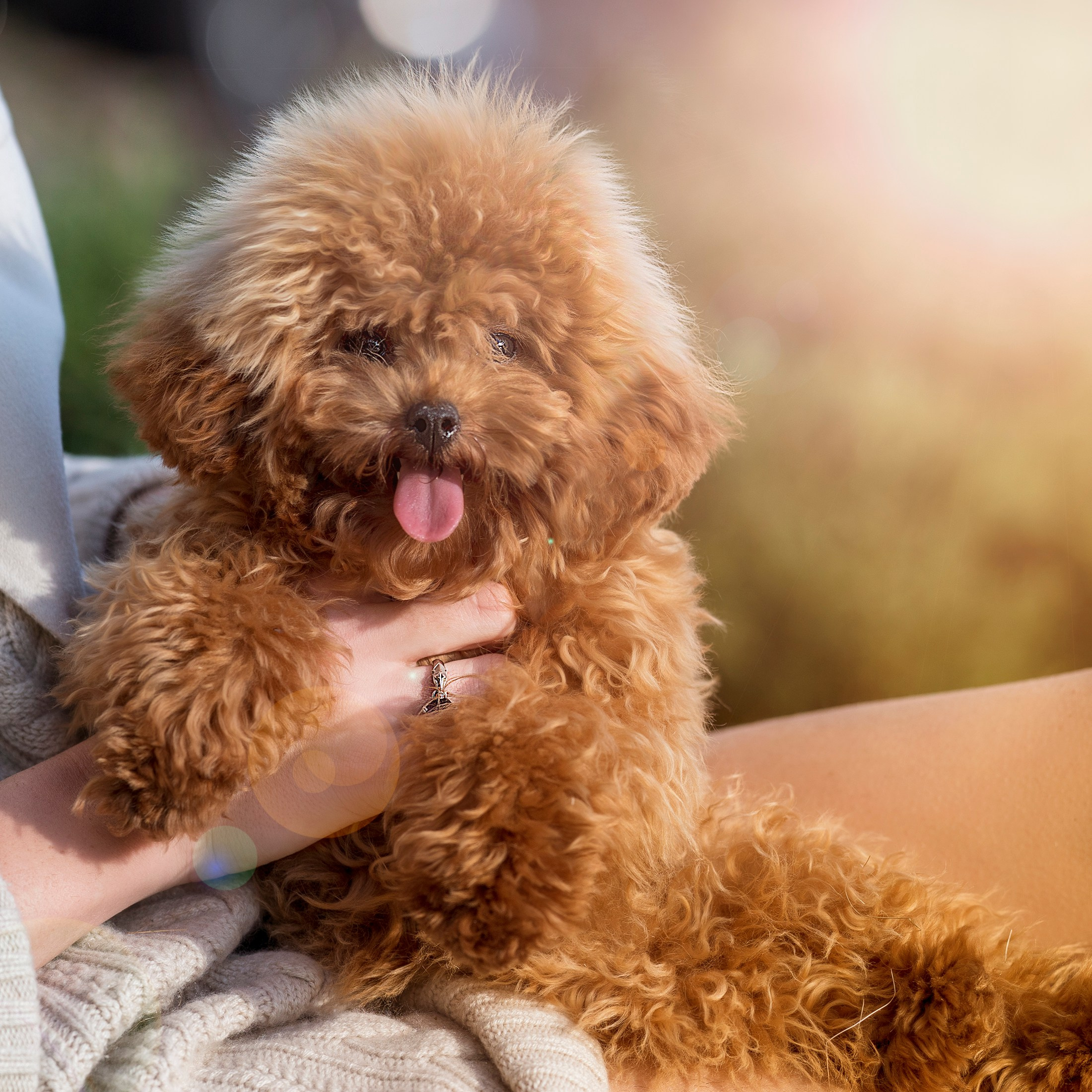 Мультипу. Фотограф анималист Ольга Луканенкова в Москве