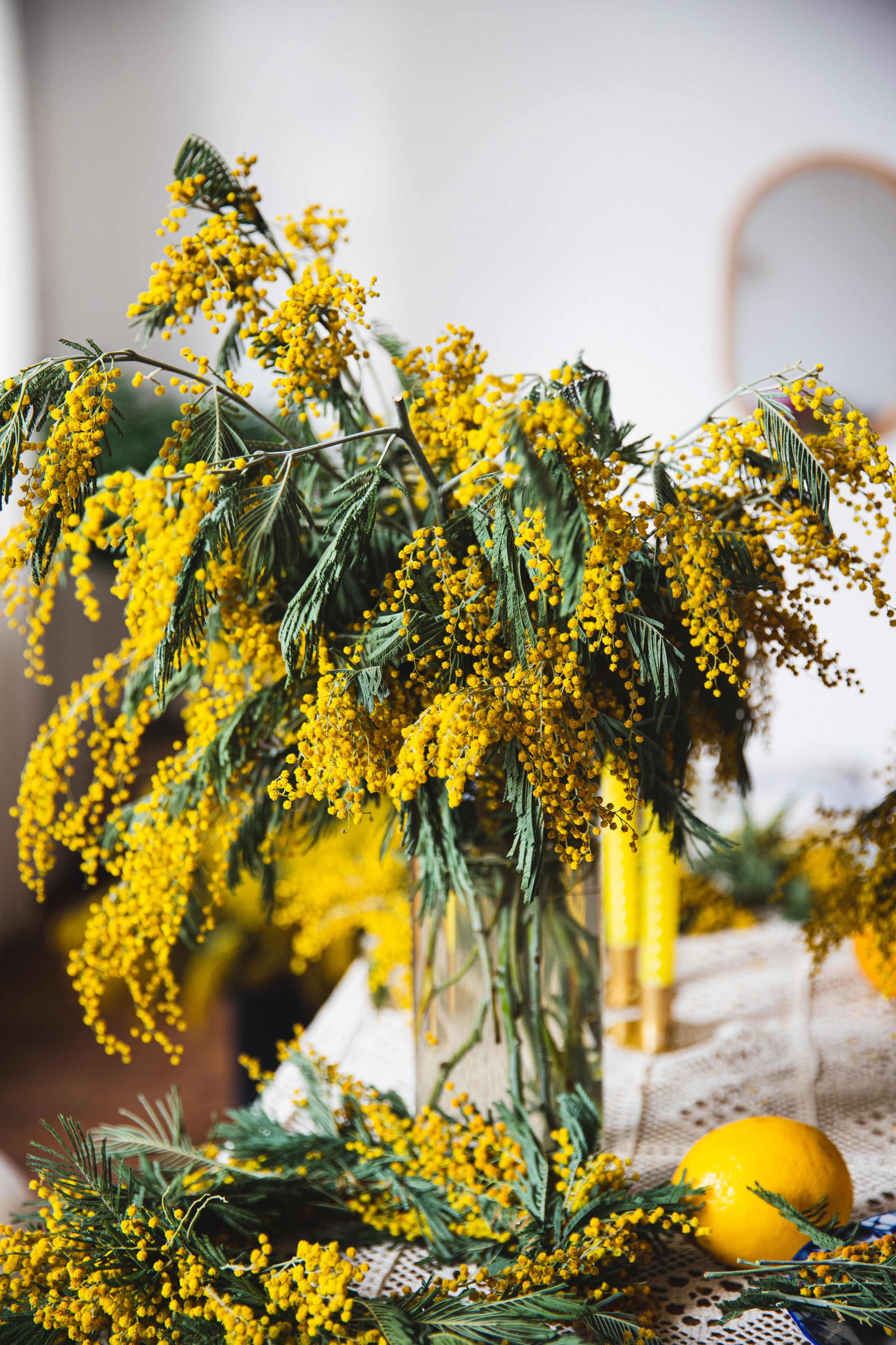 МИМОЗА. Портретный фотограф в Краснодаре Надежда Елынко