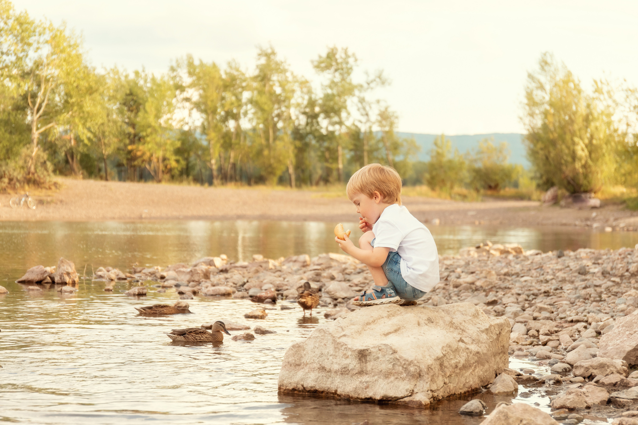Семейная фотосессия. Фотограф и видеограф Елена Пахомова Москва