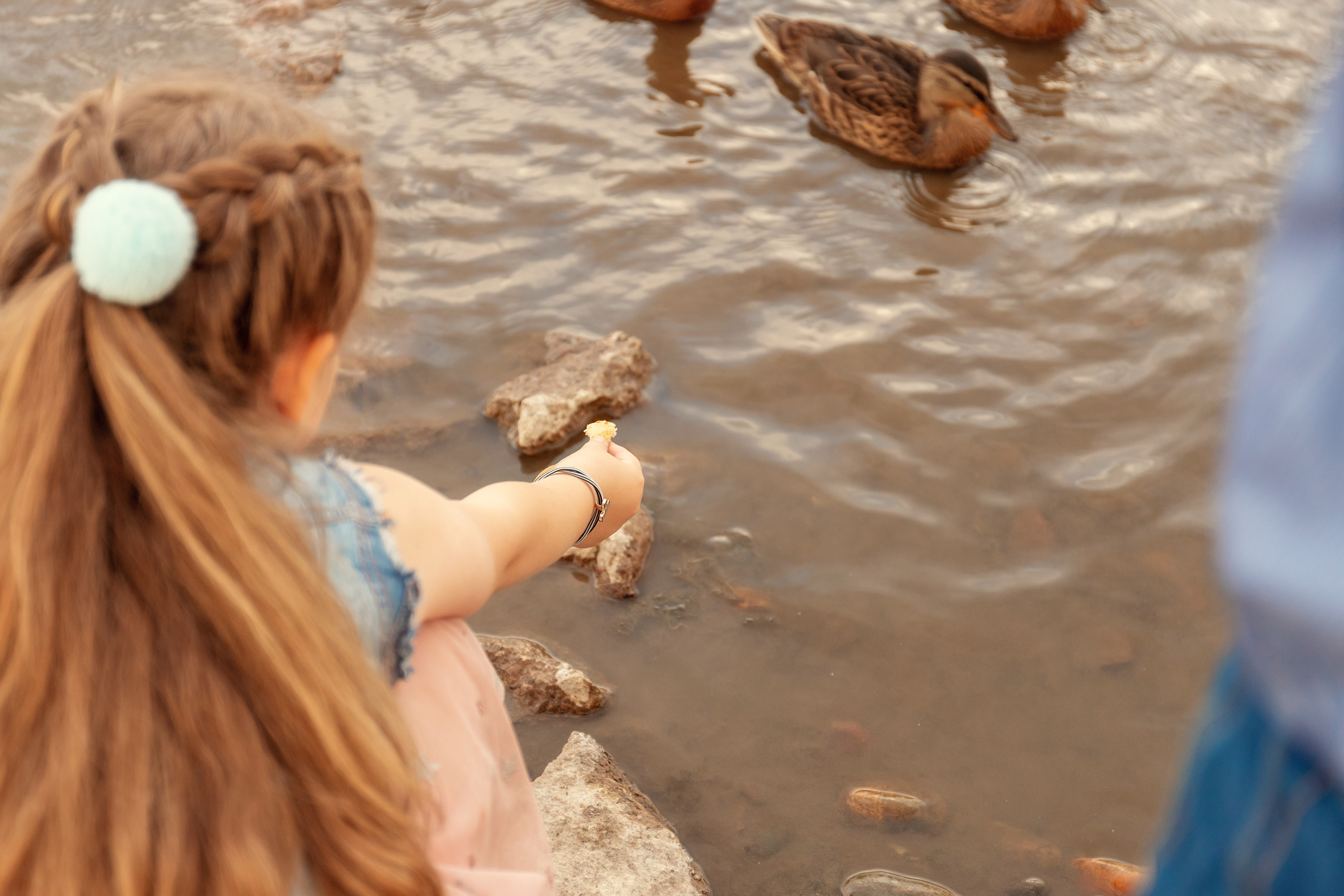 Семейная фотосессия. Фотограф и видеограф Елена Пахомова Москва