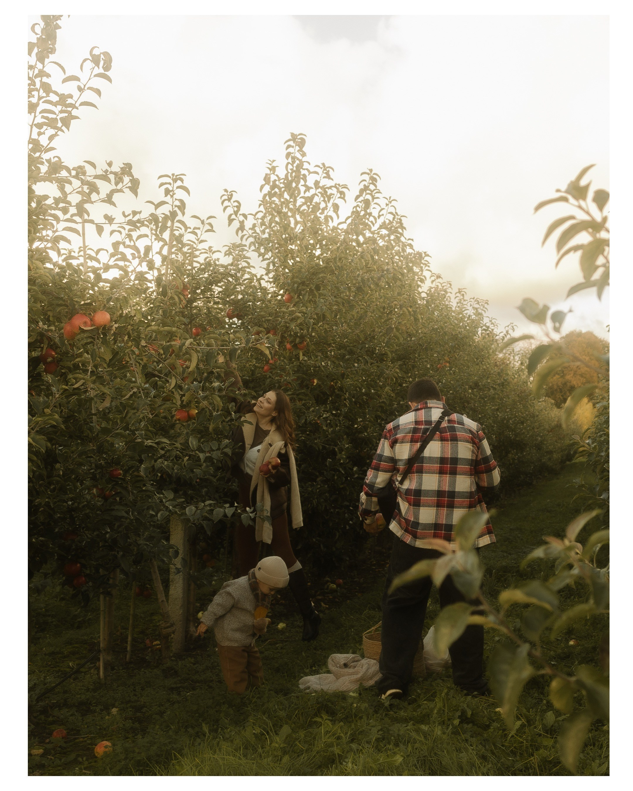 Семейные фотосесии 2025