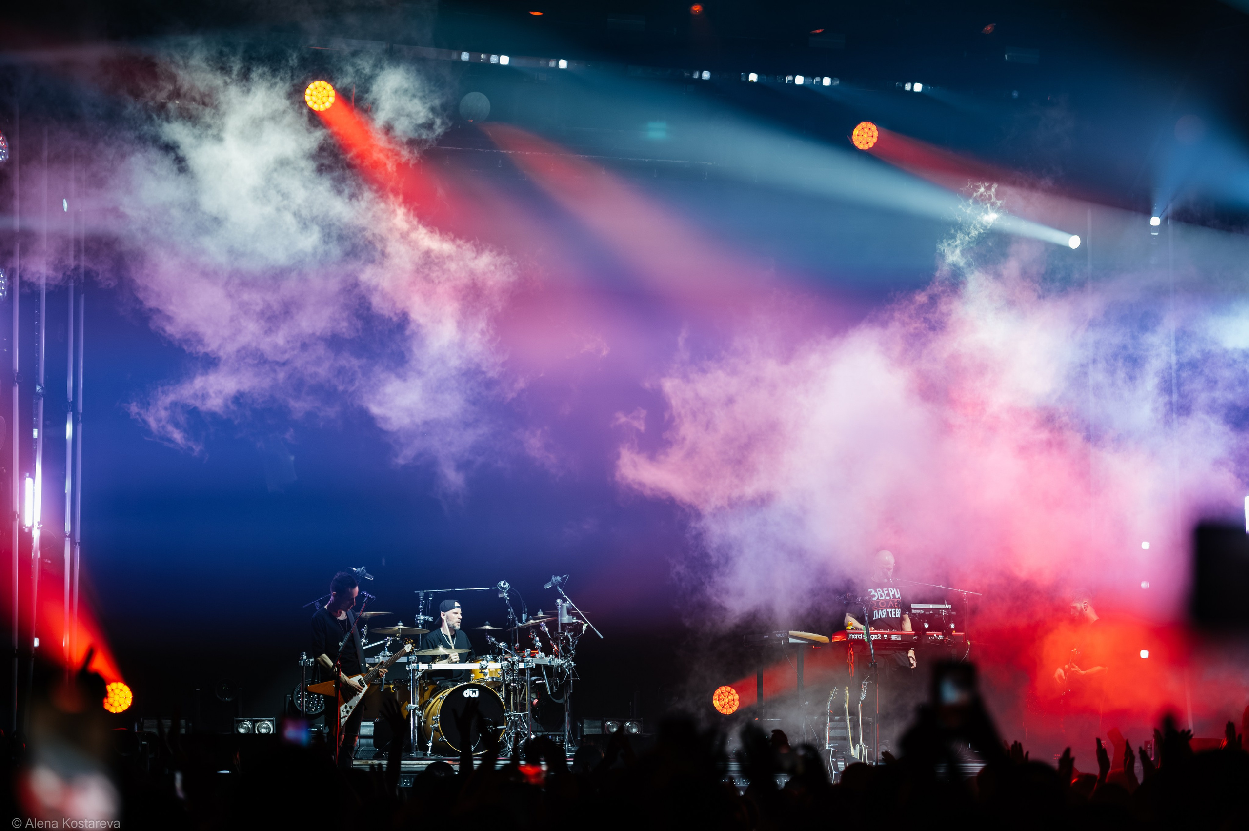 Звери. Алена Костарева. Фотограф в Ростове-на-Дону