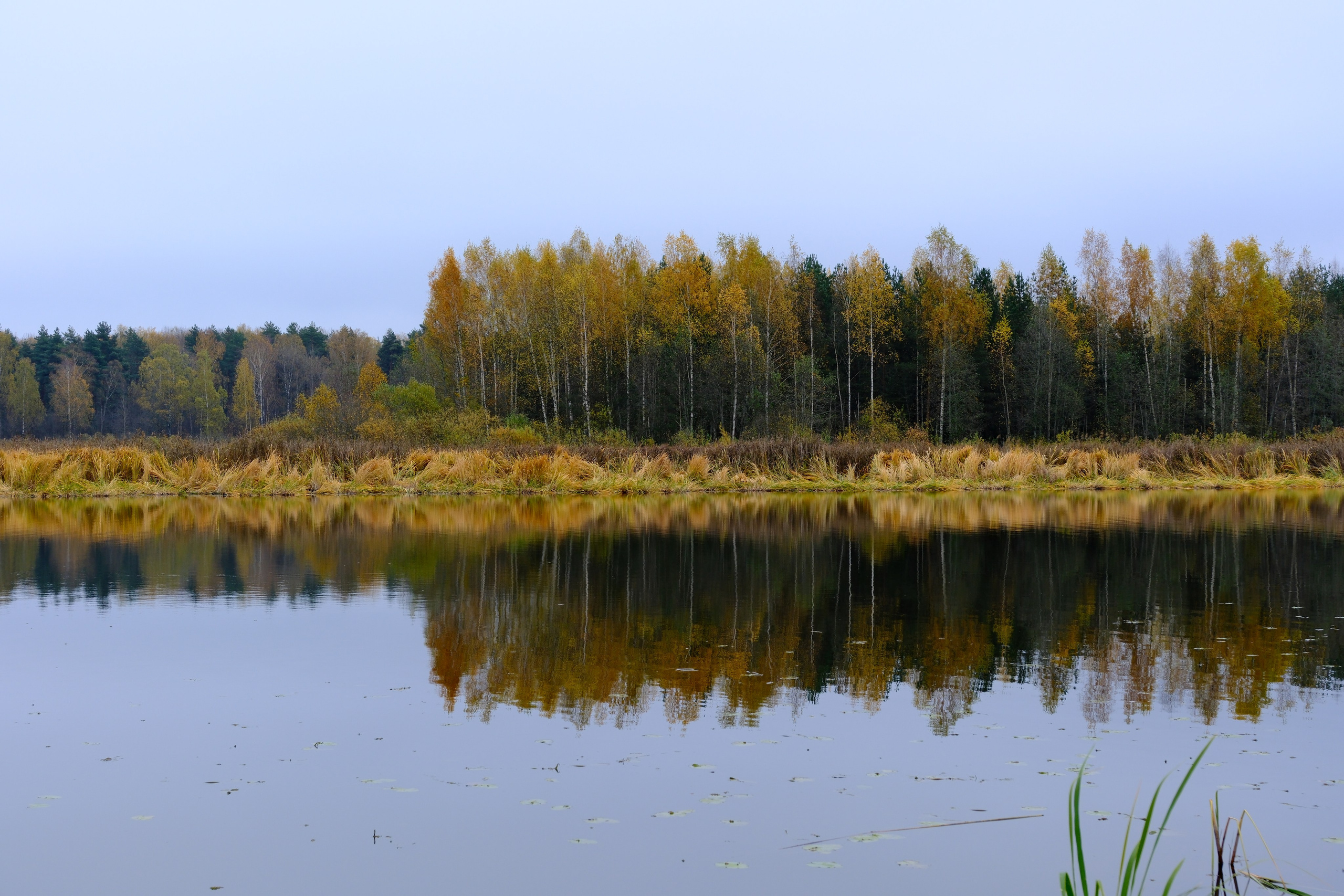 Natureplanet earth. Фотограф Валерий Овсянников
