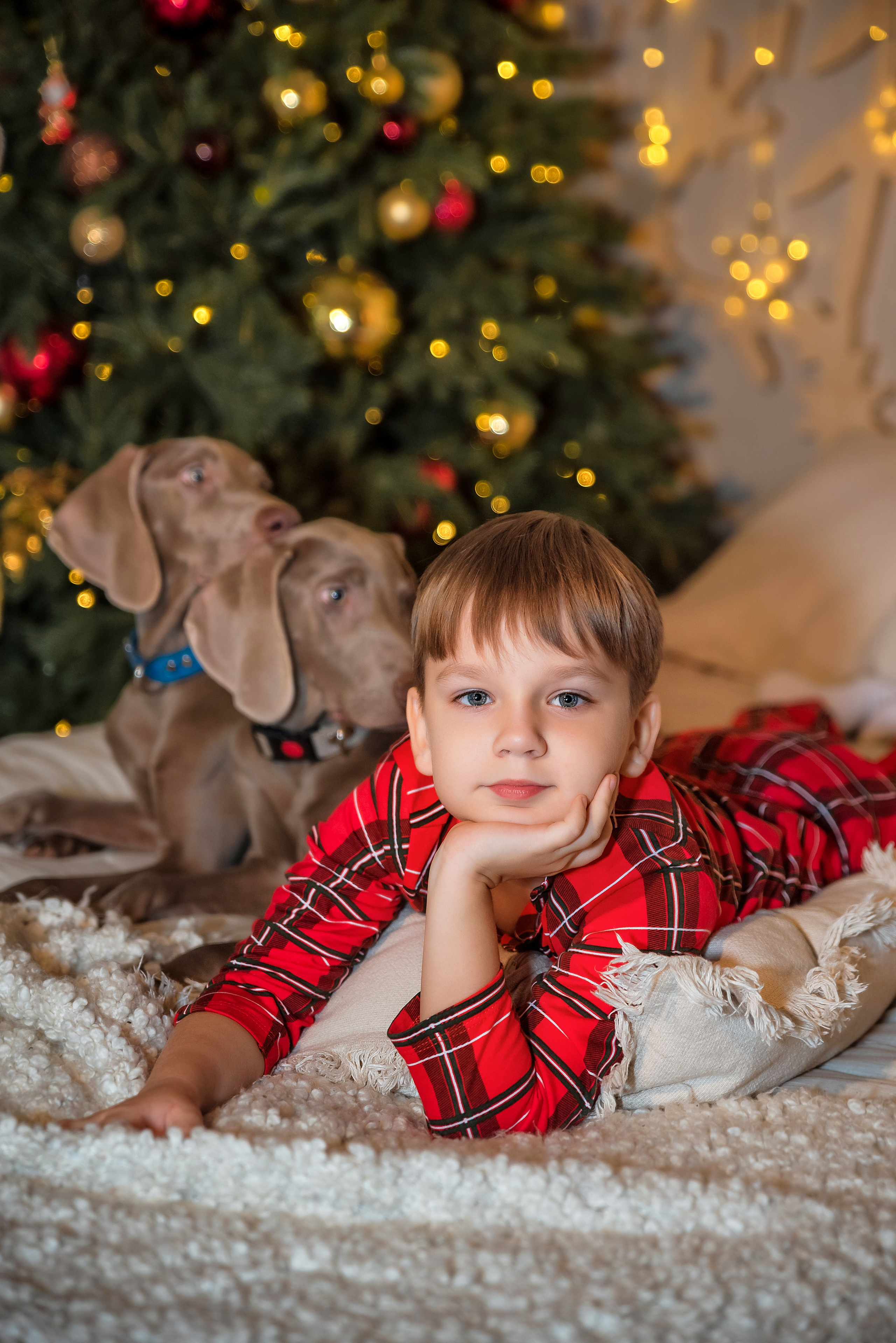 Зал Оскар. Фотограф в Москве Lidiya_Li_Photo