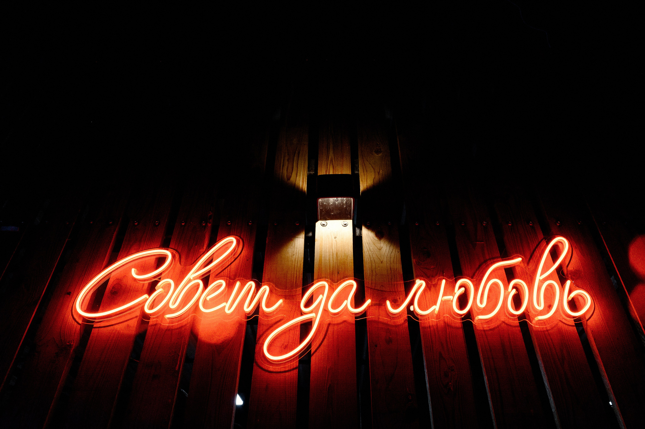 Совет да любовь. Wedding photographer