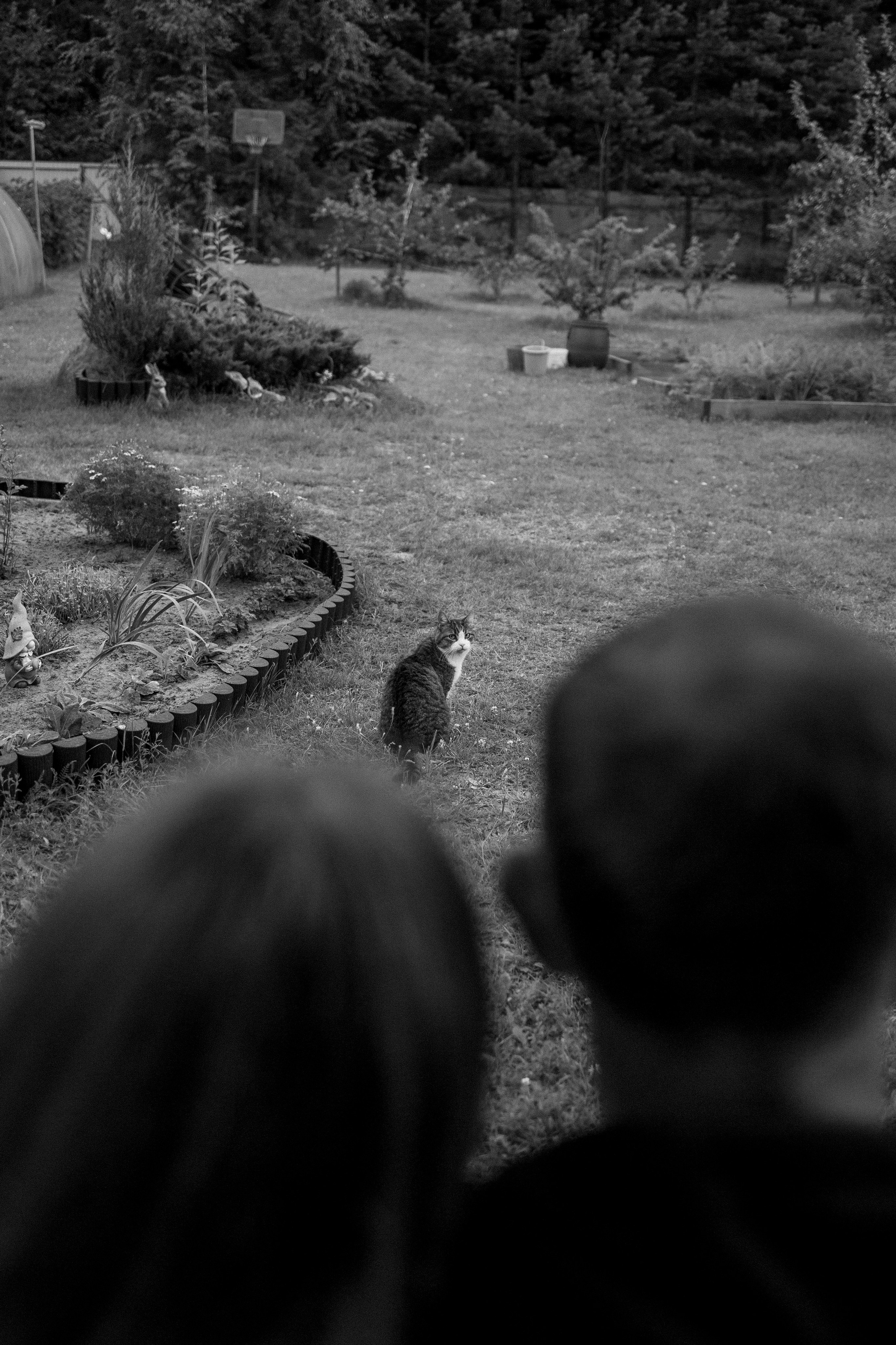 Дом у реки. Фотограф — Анималист | Санкт-Петербург