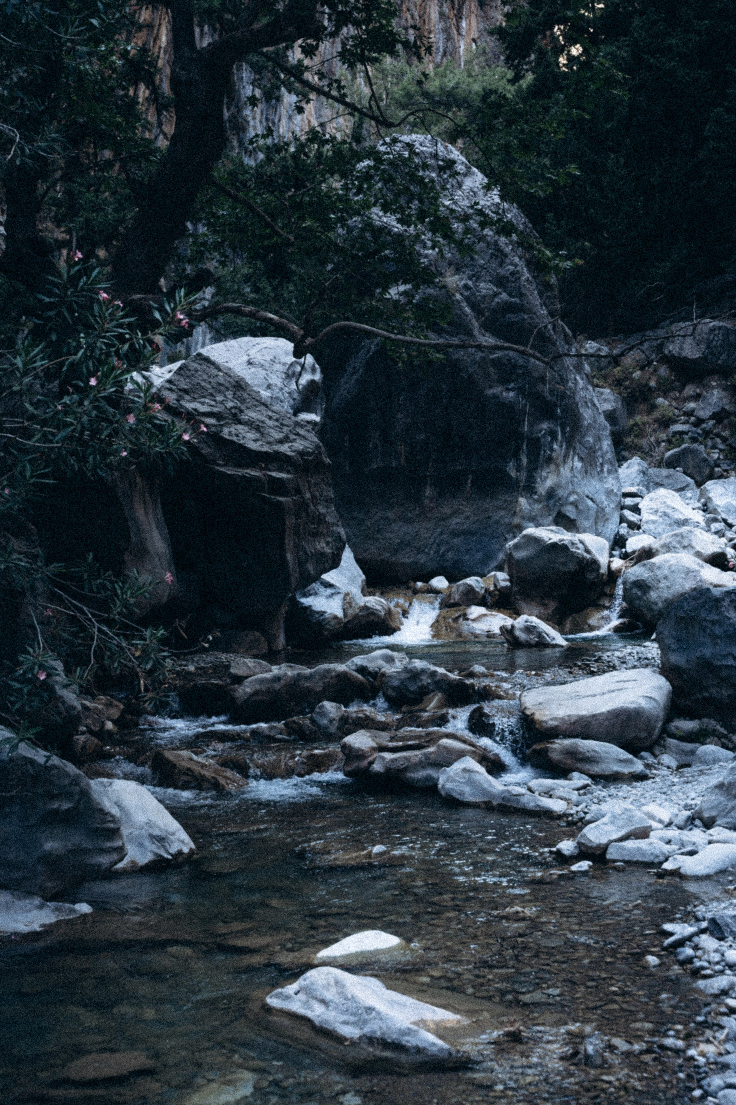 Крит лето!. Anita_photo