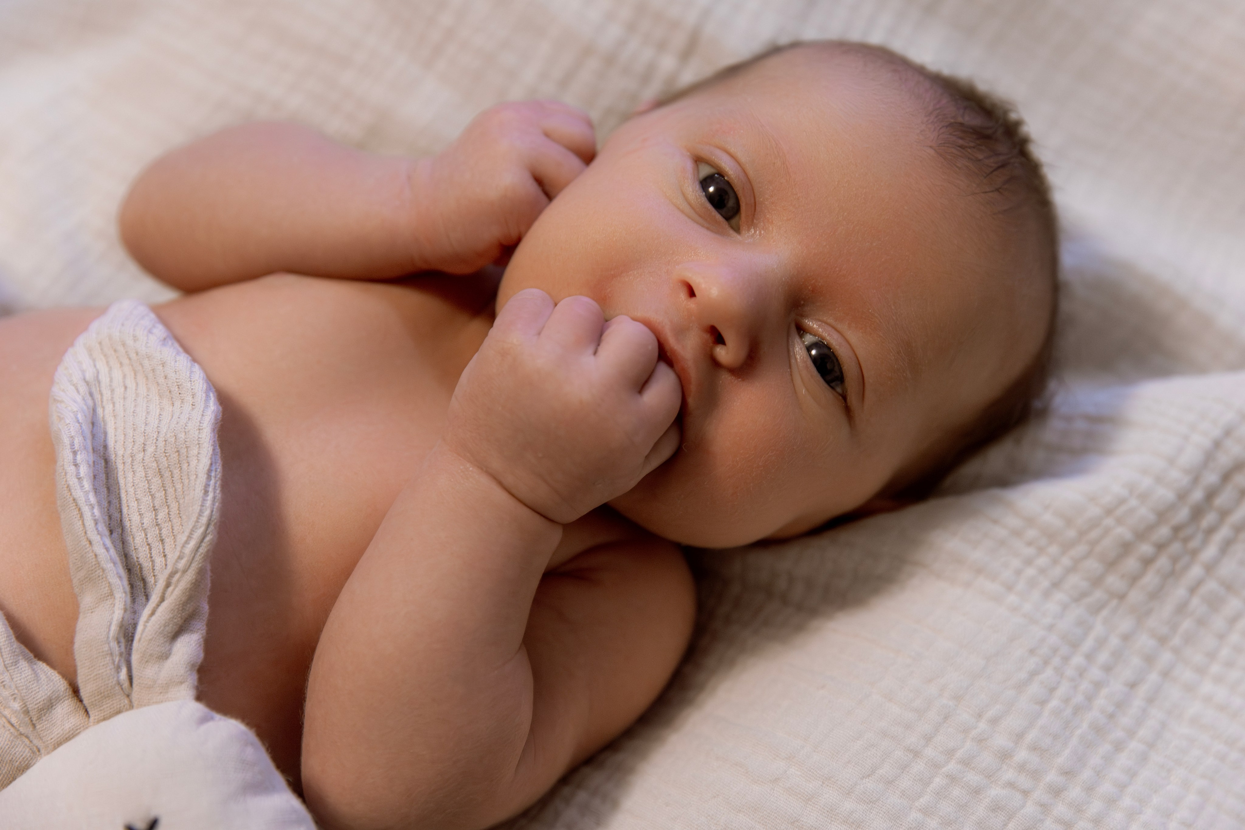 Даниель. Свадебный и семейный фотограф Москва и Московская область