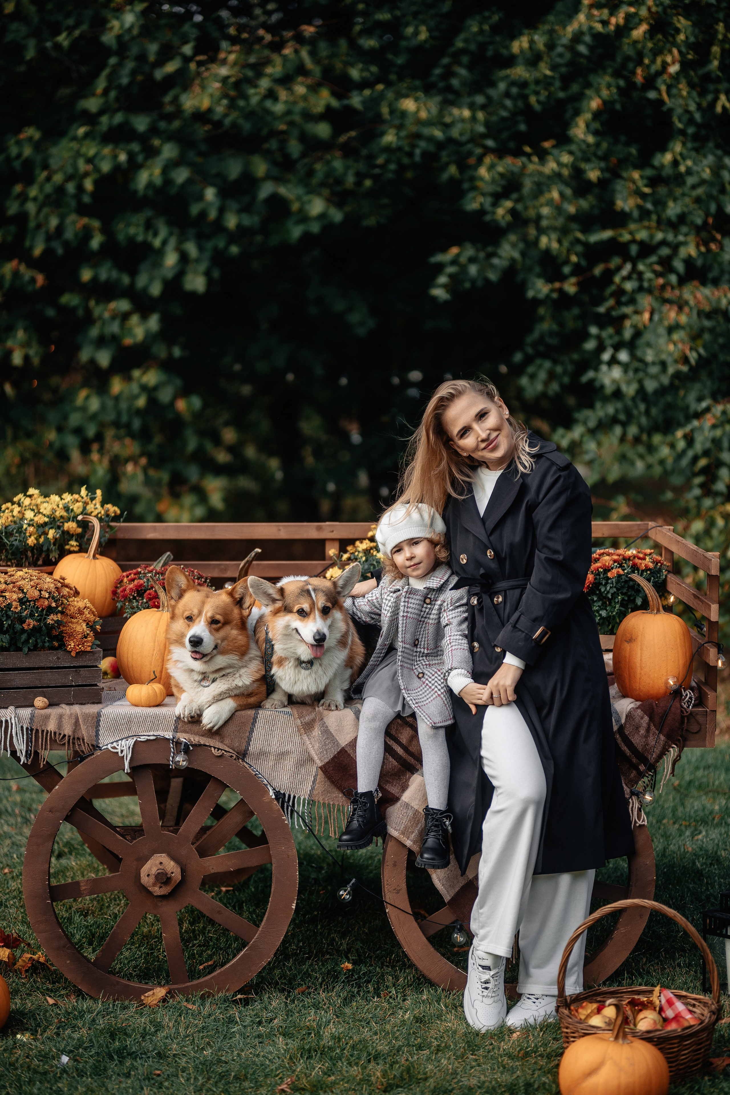 Фотосессия с собаками