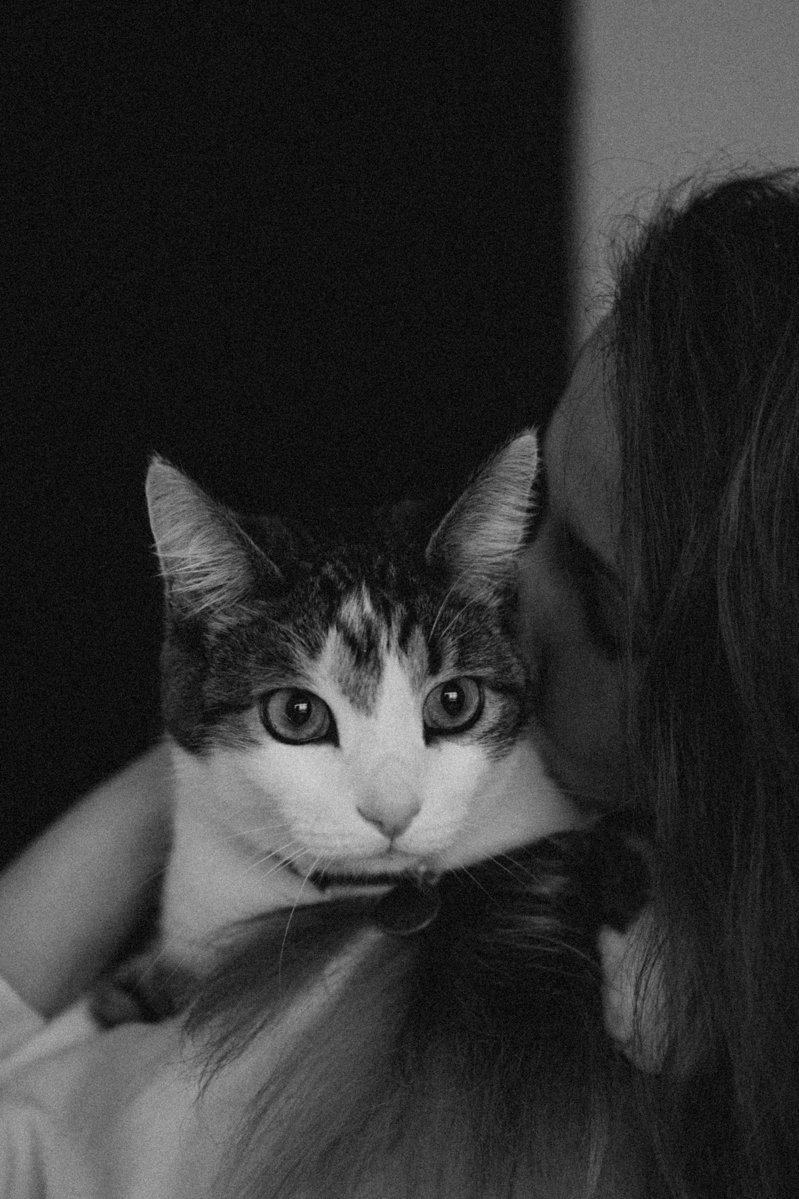 Ксюша и Яша. Фотораф — анималист Мария Шистка