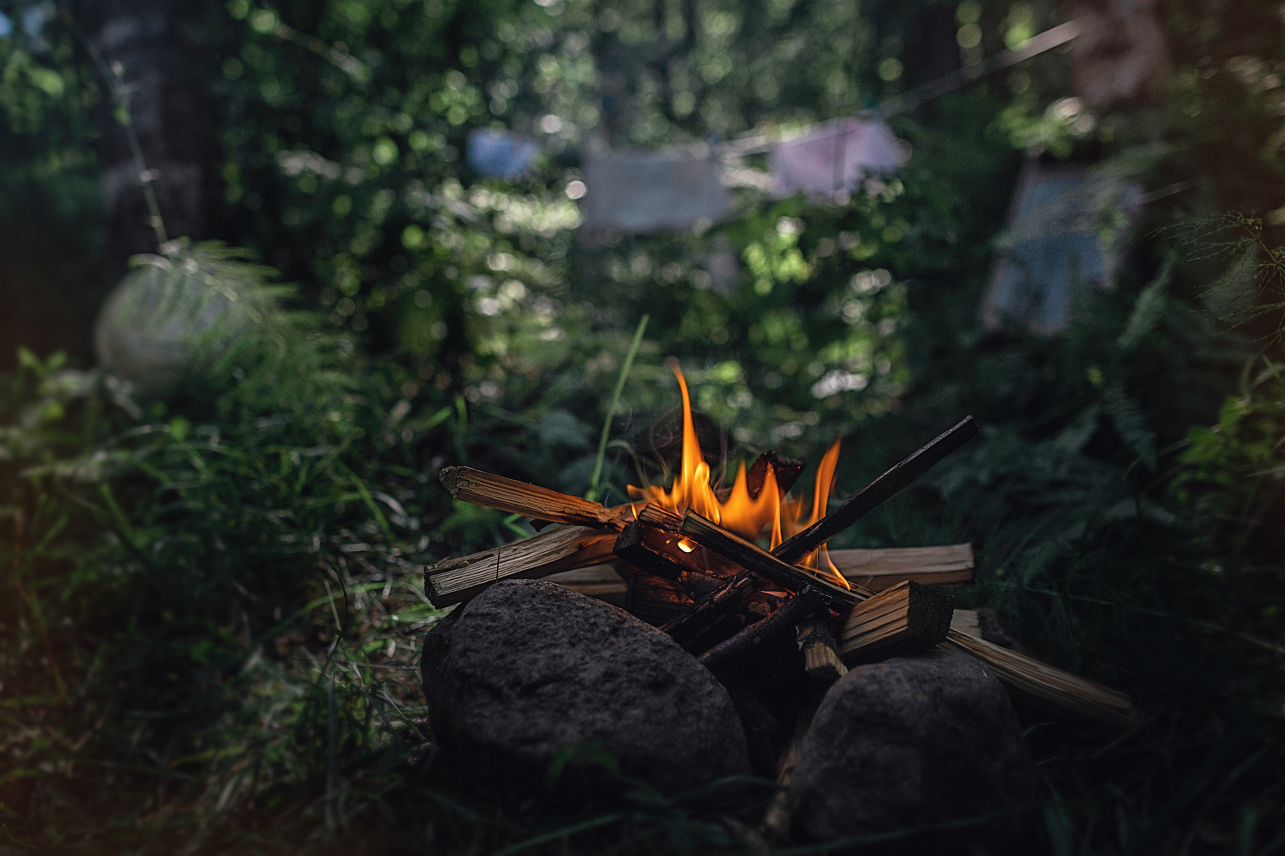 Енотик💚_2022. Семейный фотограф в Санкт-Петербурге