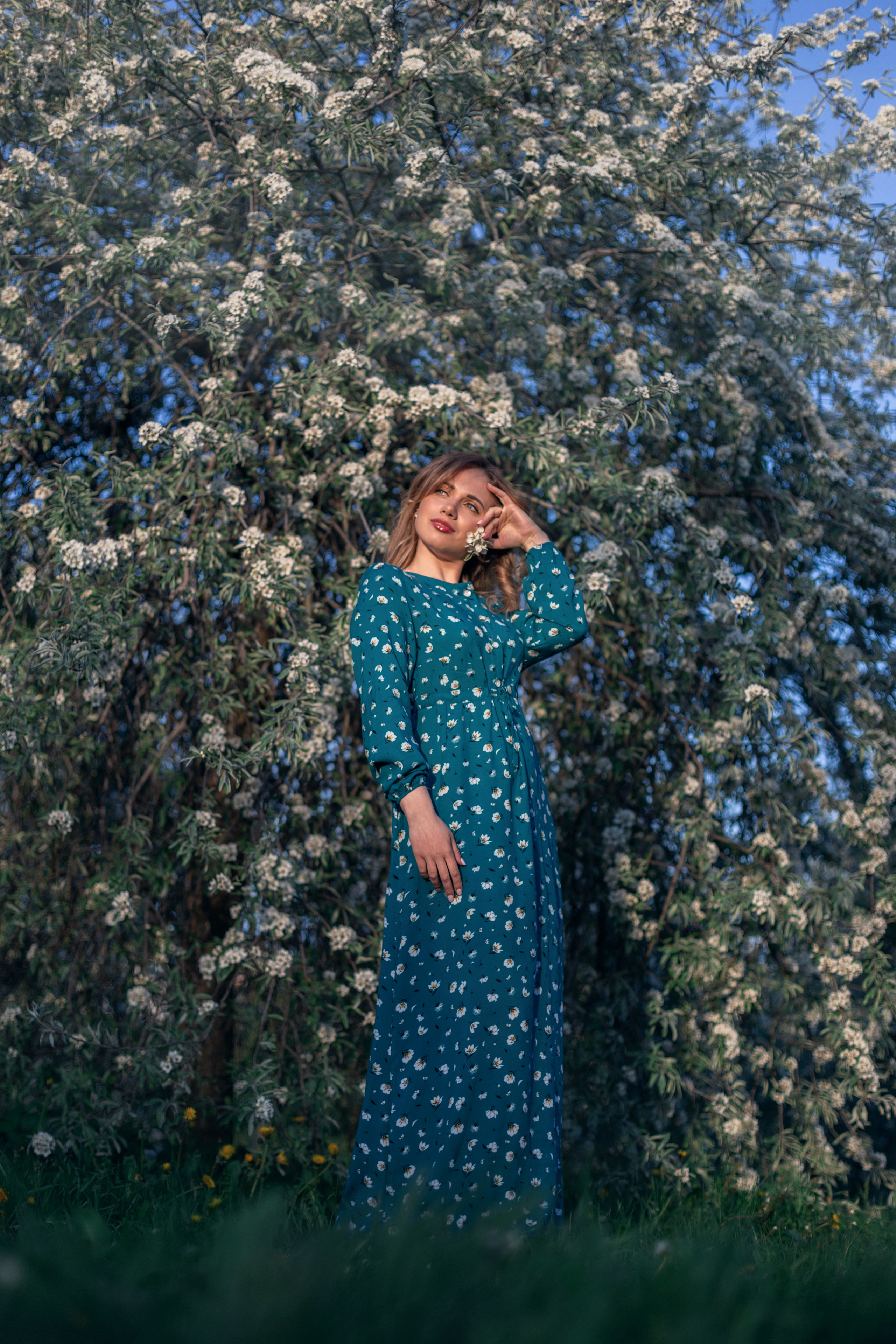 Яблоневый сад_Екатерина_2022. Семейный фотограф в Санкт-Петербурге