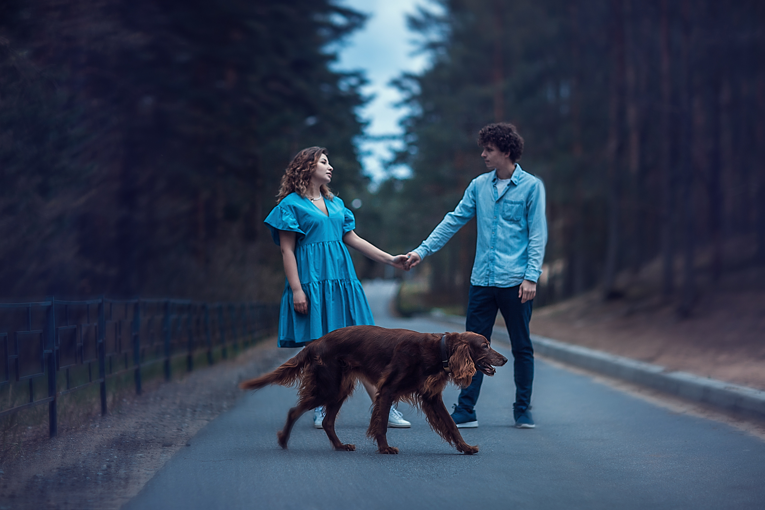 Даня и Наталия_Сестрорецк_2022. Семейный фотограф в Санкт-Петербурге