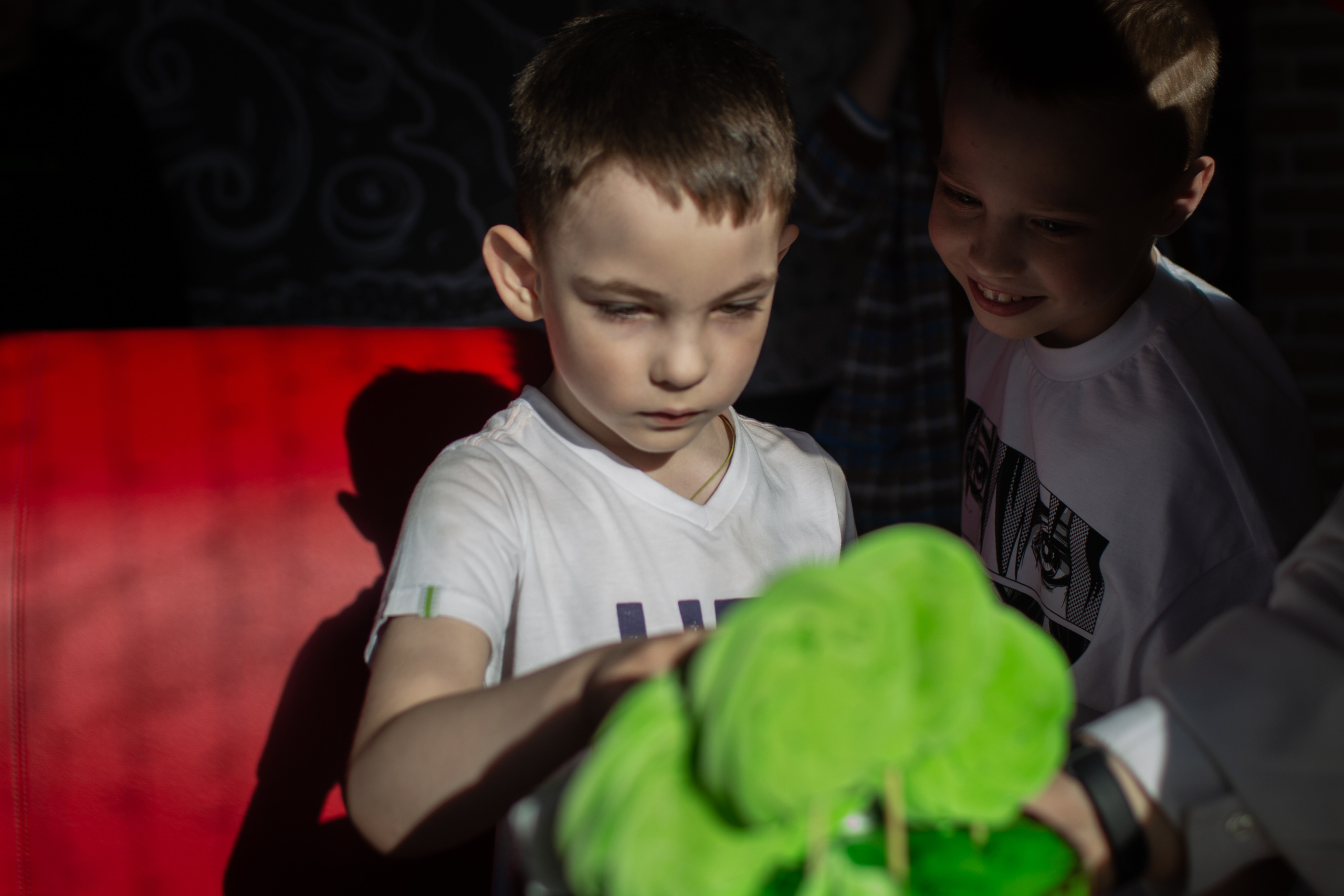 Степан 5 лет. Семейный фотограф в Санкт-Петербурге