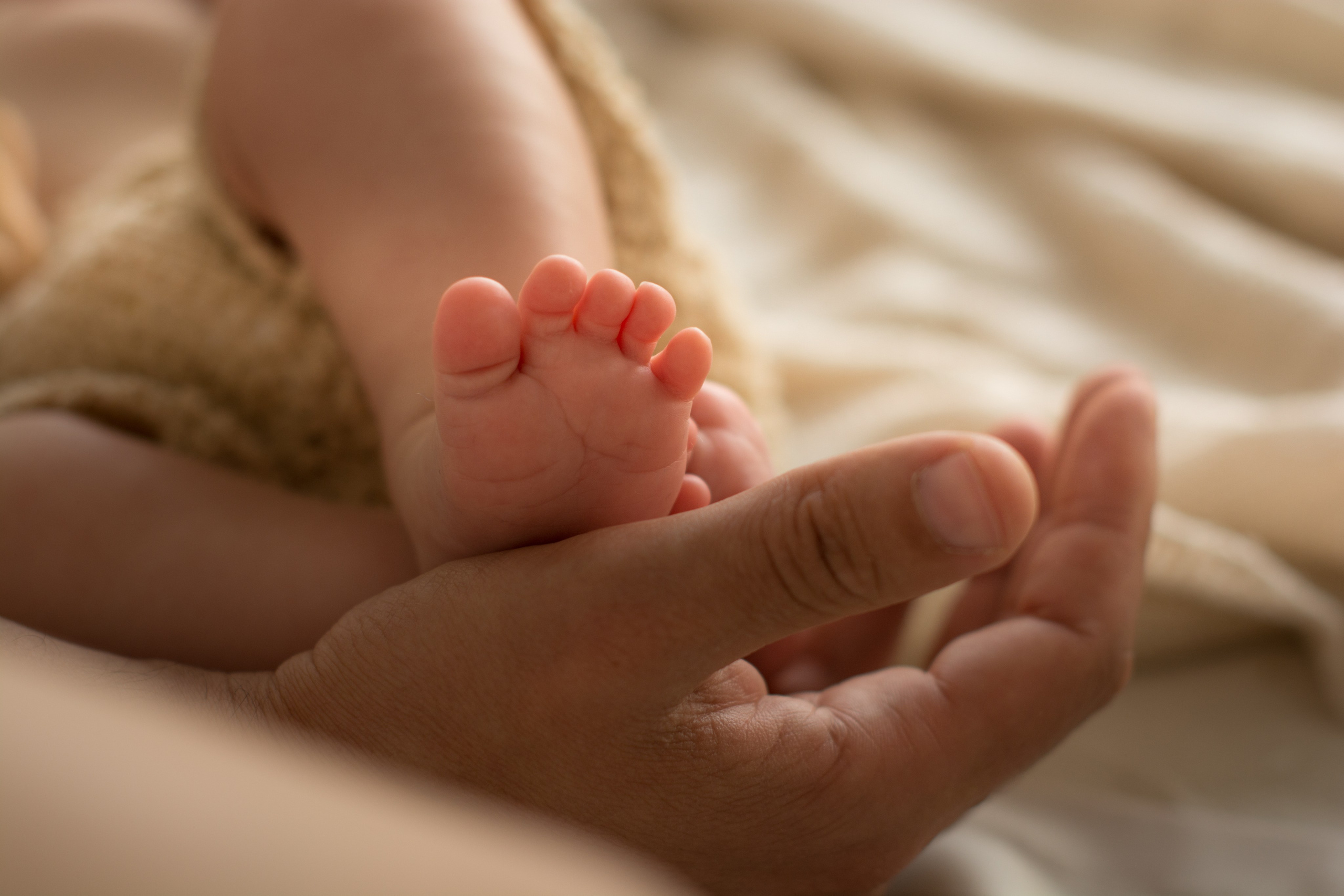 Семейная съемка с новорожденным. Зал Люмен. Фотосессия беременности — Крылова Натали — Москва