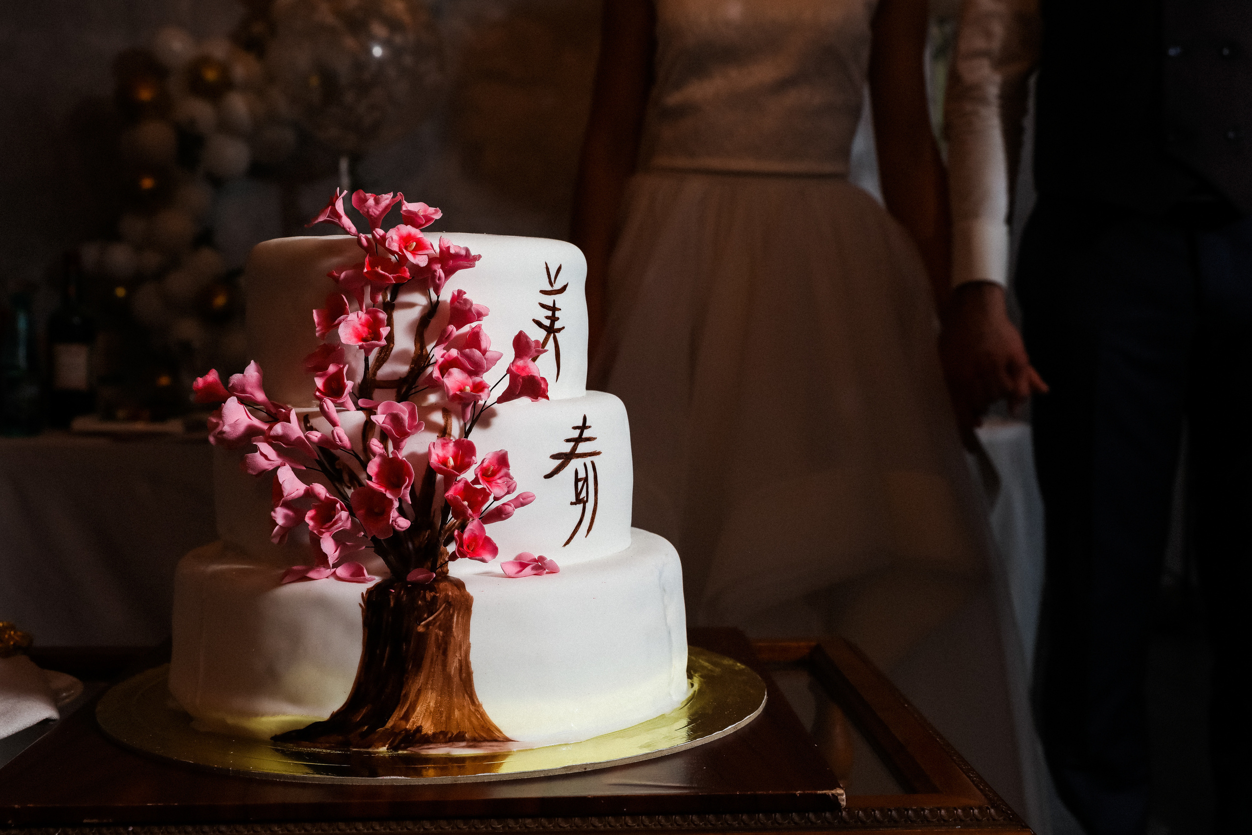 Маша и Гера-2017. Свадебный и семейный Фотограф Денис Кошель